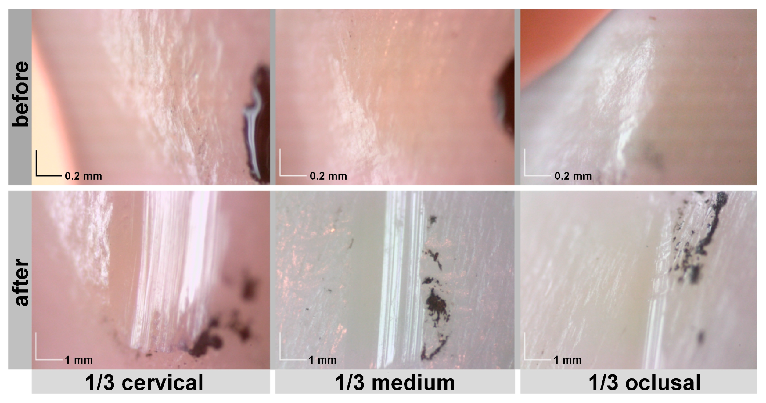 Applsci 13 08072 g019 Applsci 13 08072 g019