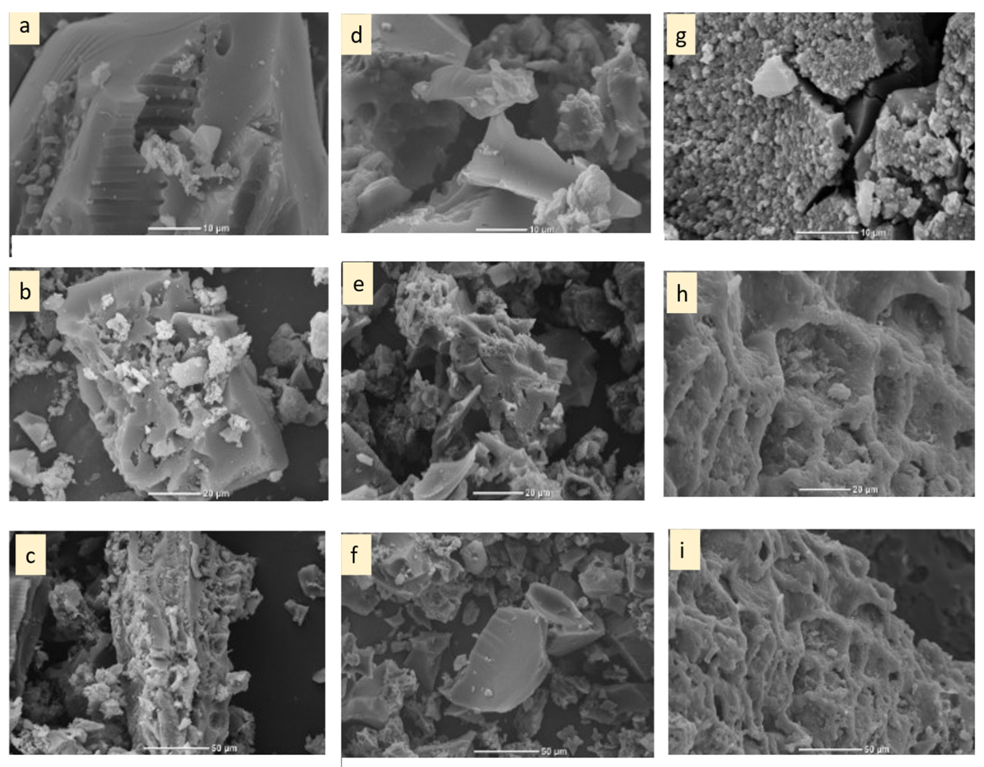 Applsci 13 08074 g001 Applsci 13 08074 g001