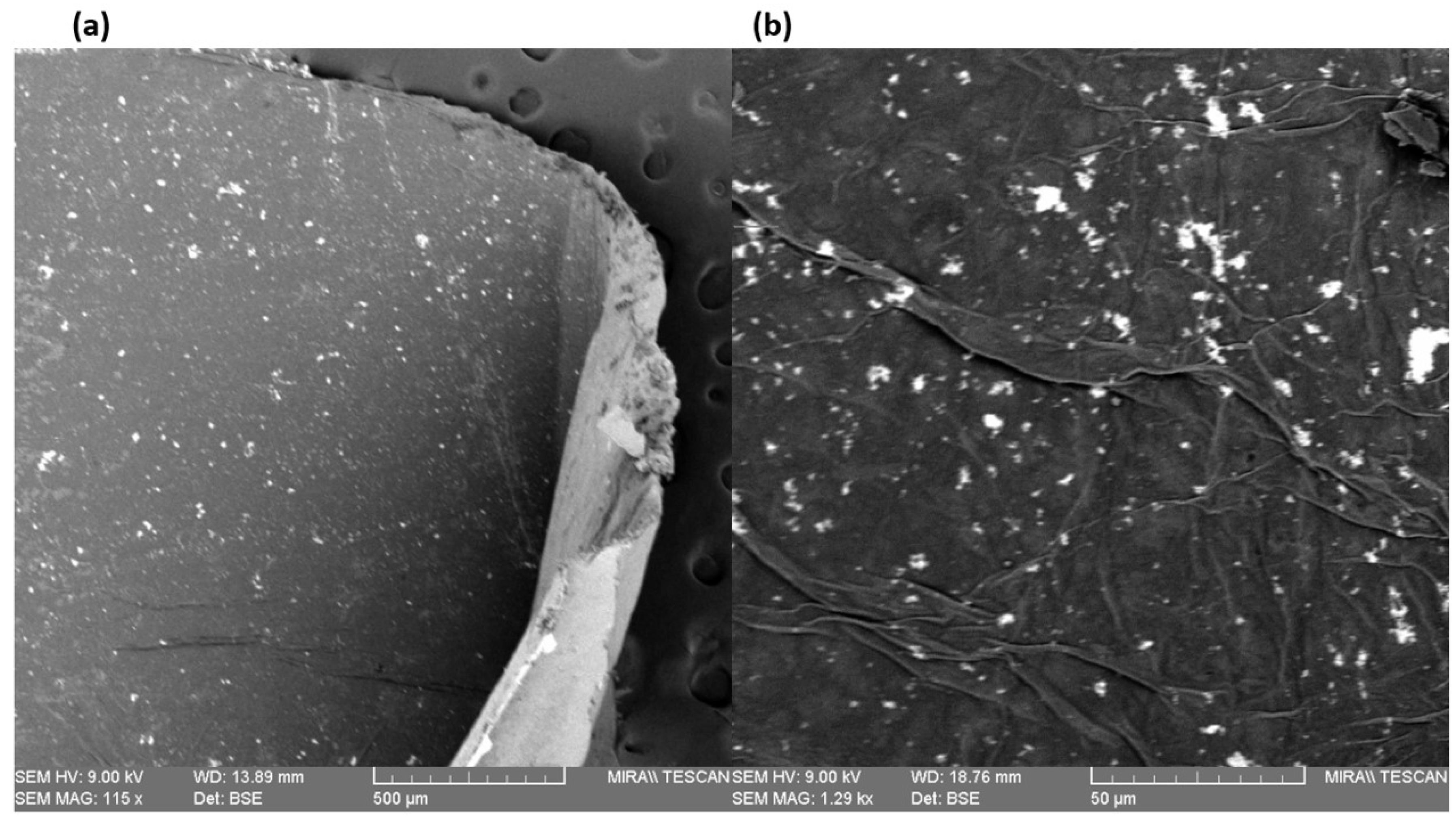 Applsci 13 08100 g007