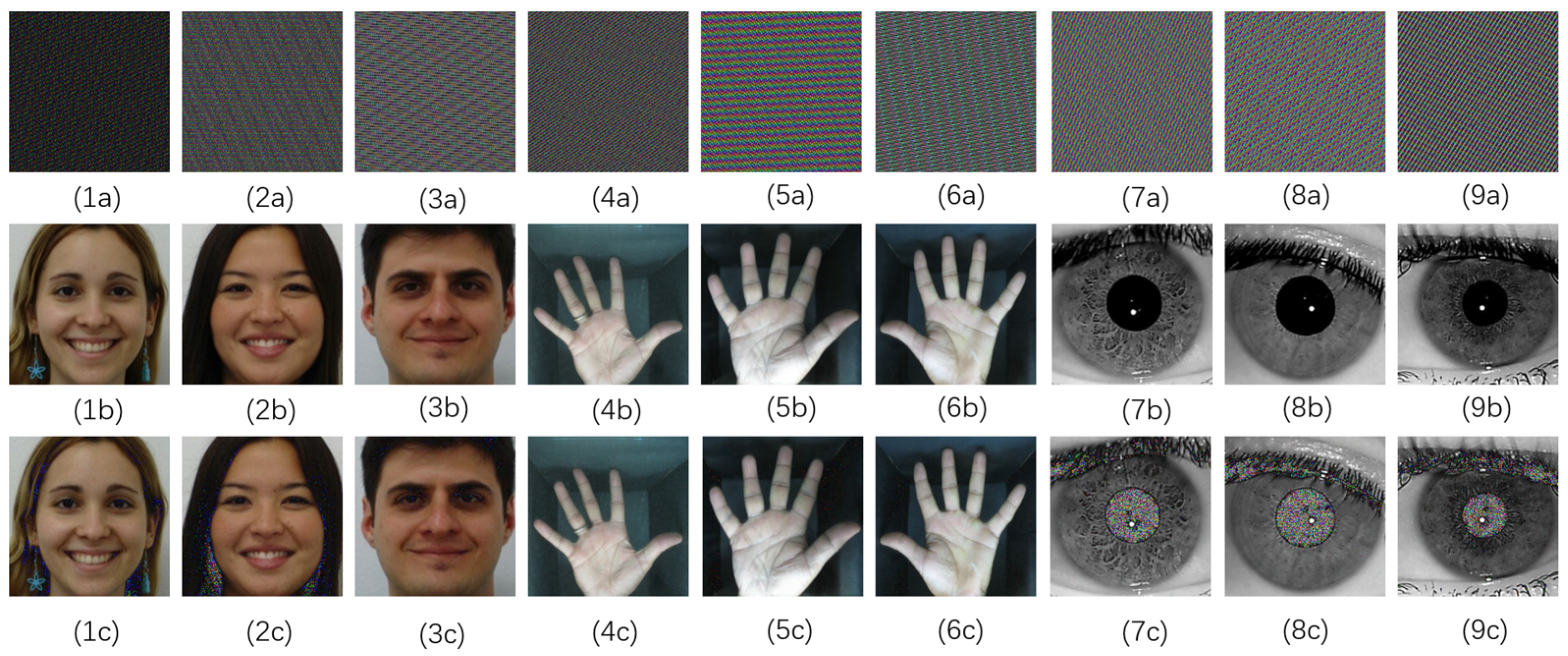 Applsci 13 08117 g007