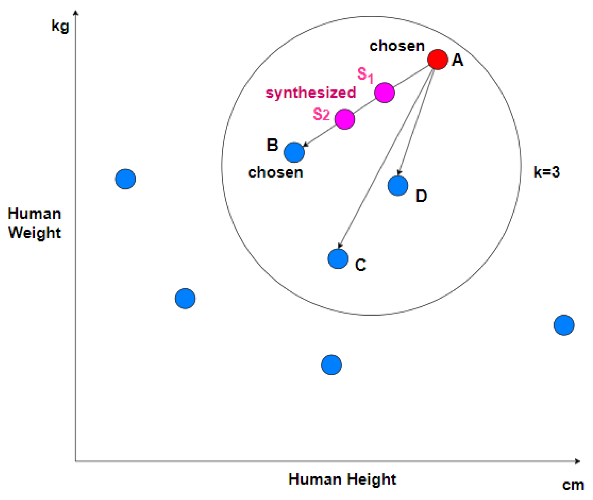 Applsci 13 08132 g002