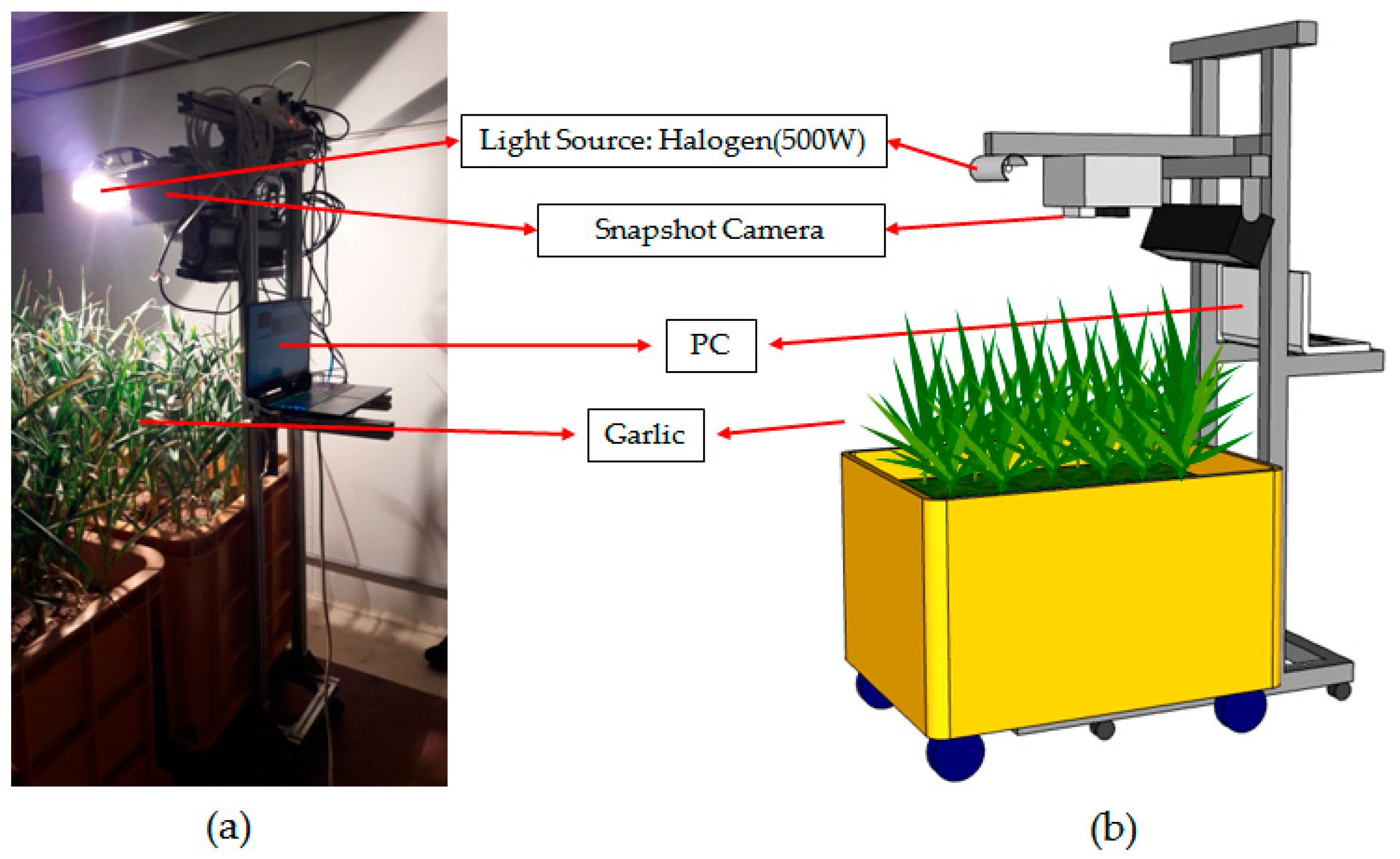 Applsci 13 08133 g001