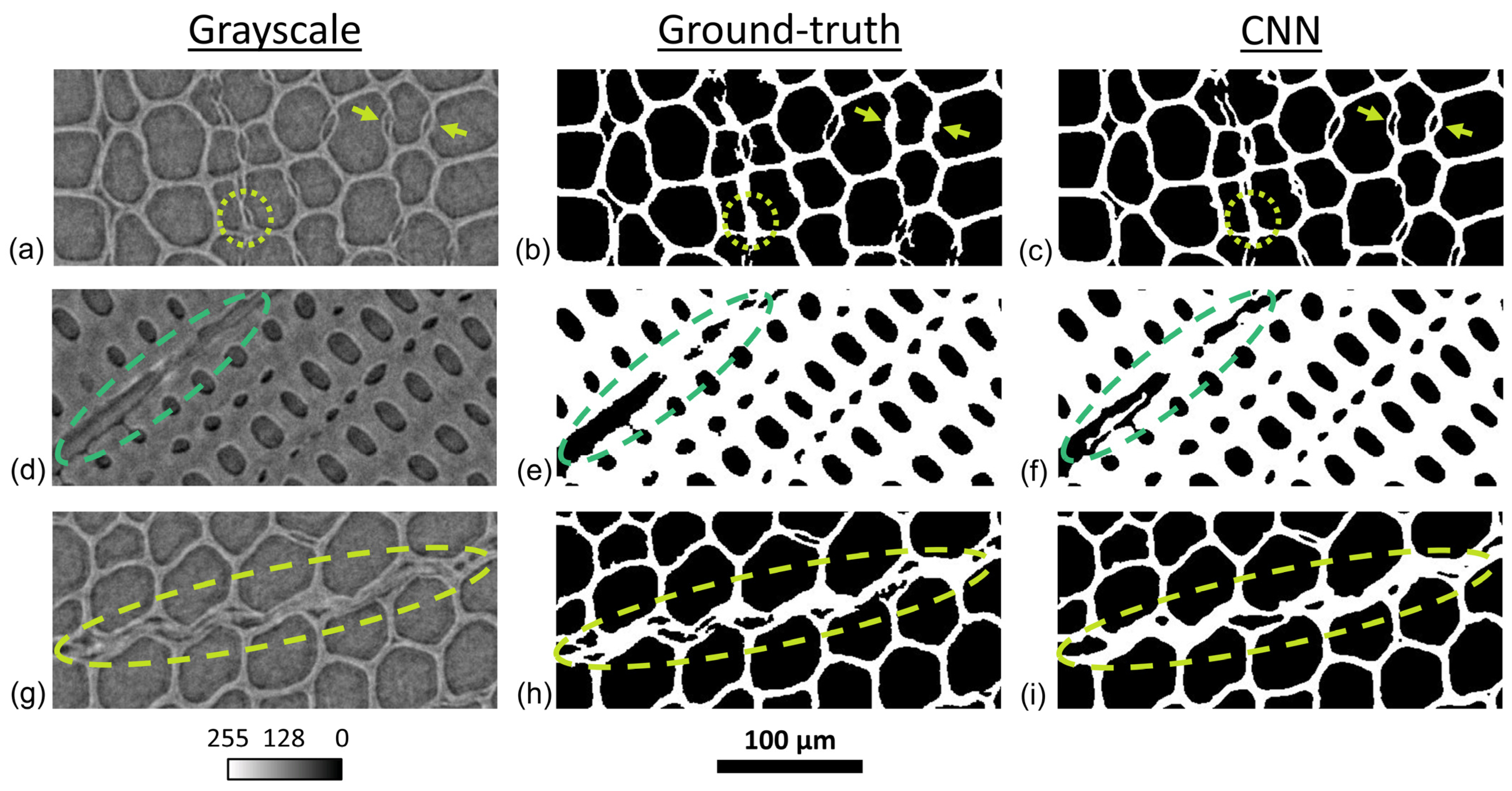 Applsci 13 08146 g006 Applsci 13 08146 g006