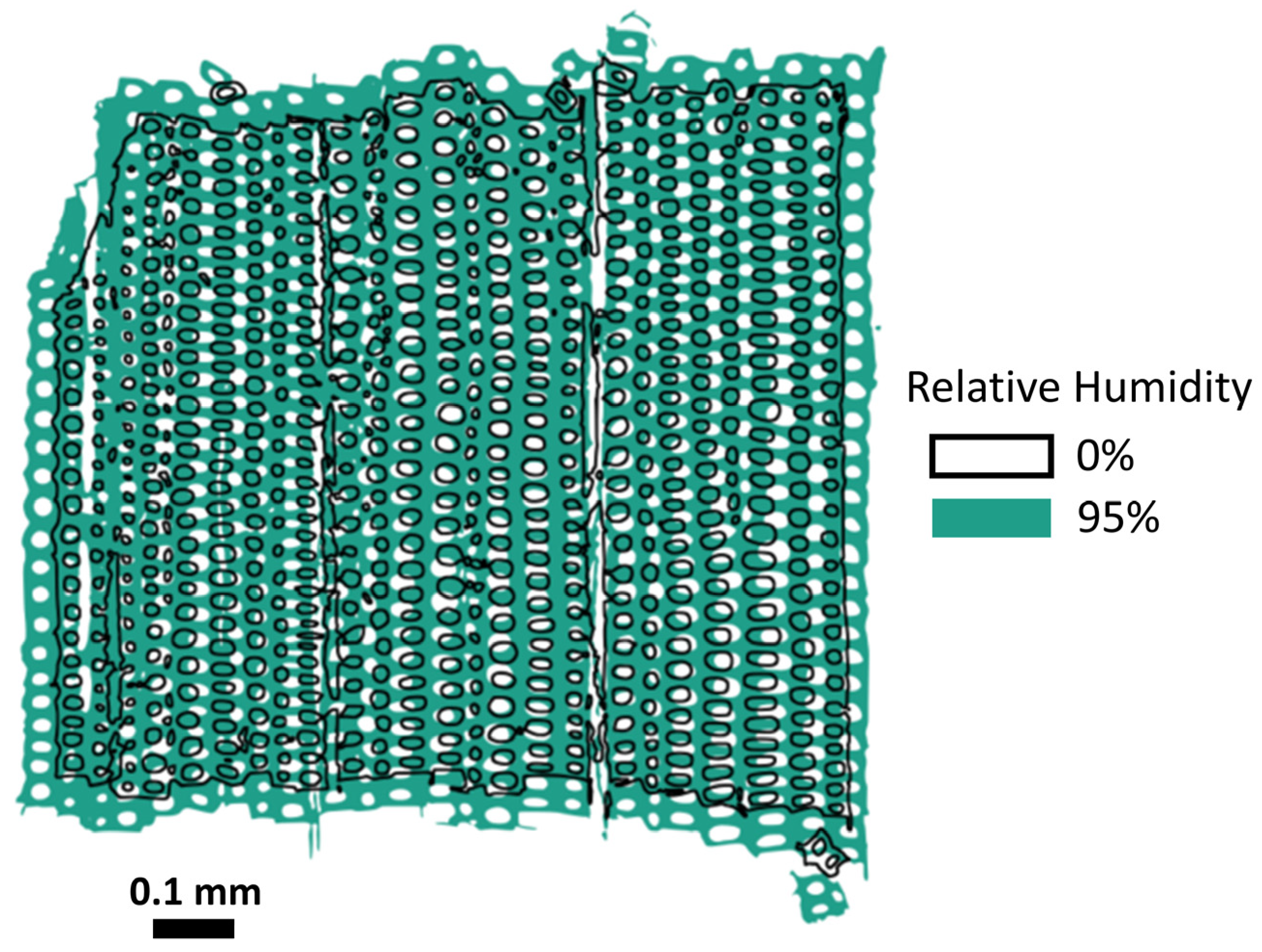 Applsci 13 08146 g010 Applsci 13 08146 g010