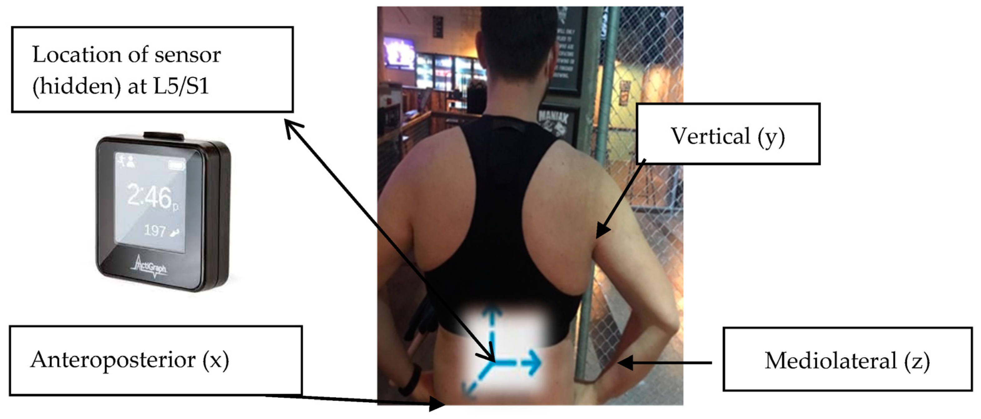 Applsci 13 08155 g002