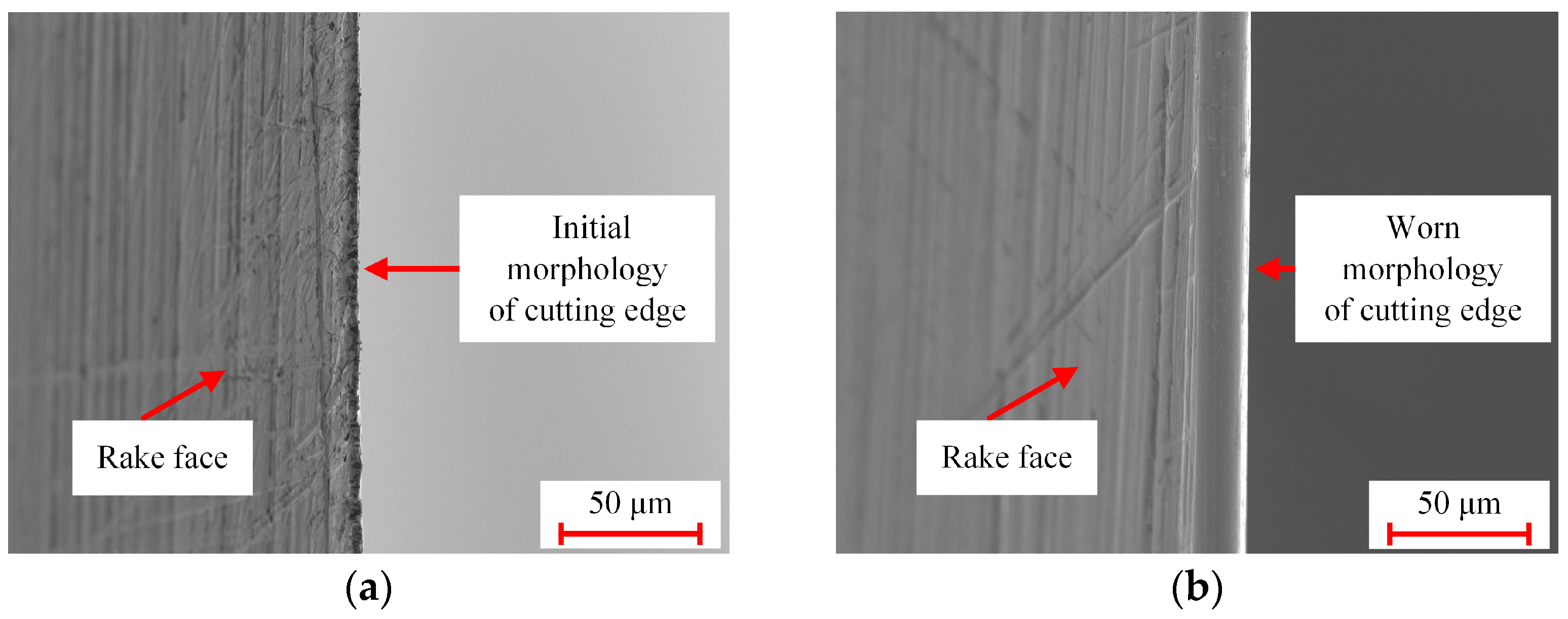 Applsci 13 08168 g010 Applsci 13 08168 g010