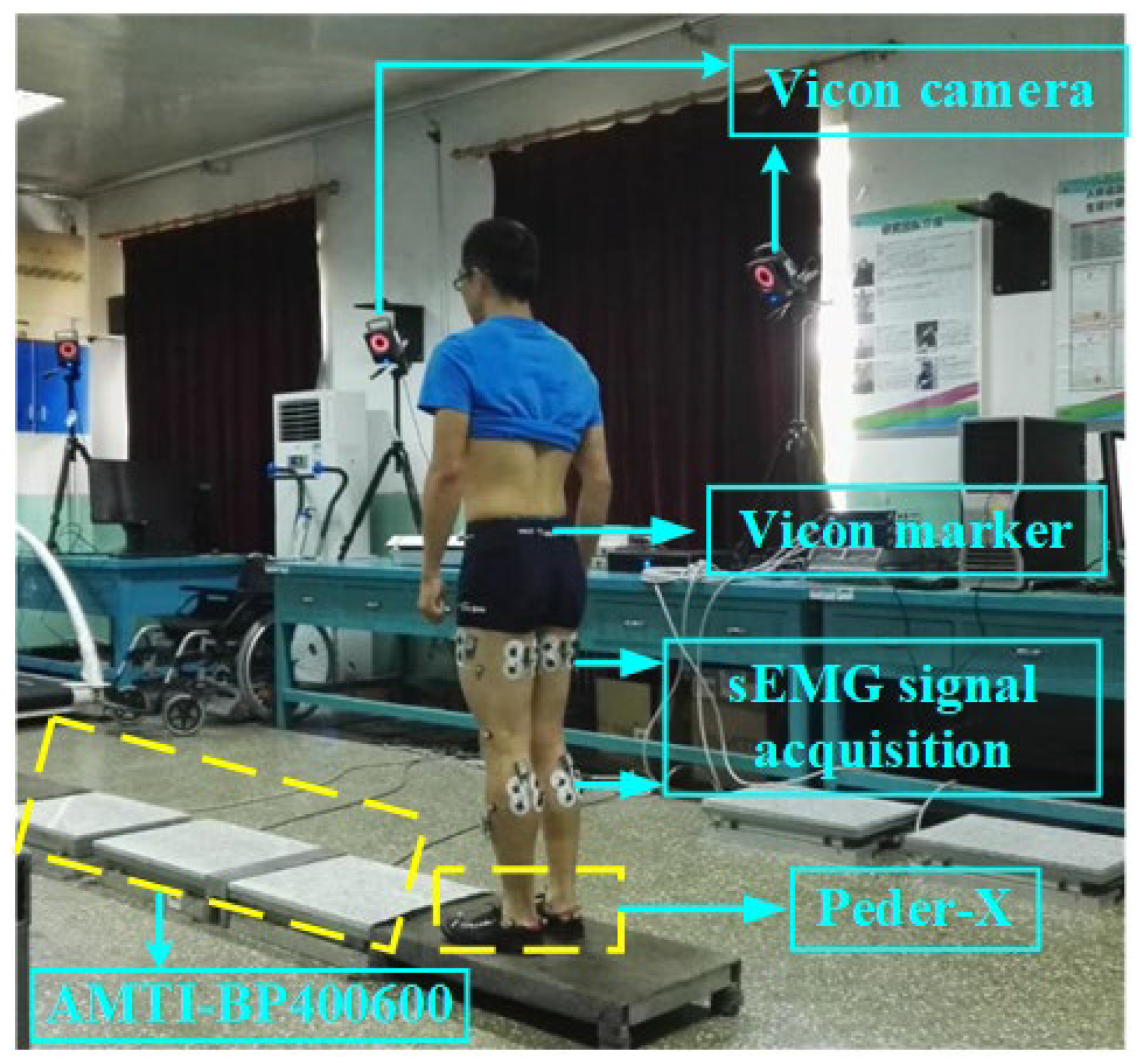 Applsci 13 08184 g005