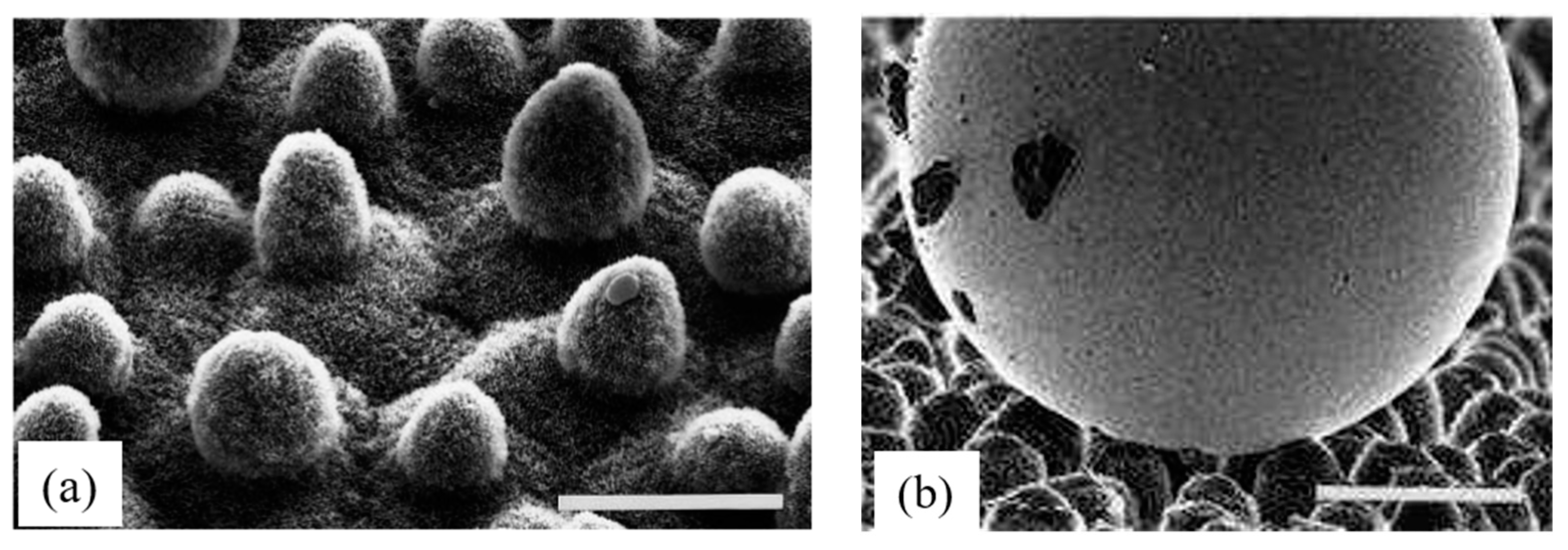 Applsci 13 08198 g011 Applsci 13 08198 g011