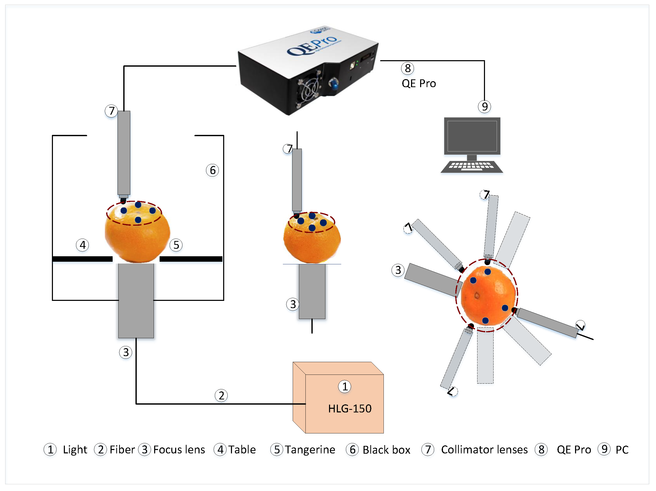 Applsci 13 08221 g001