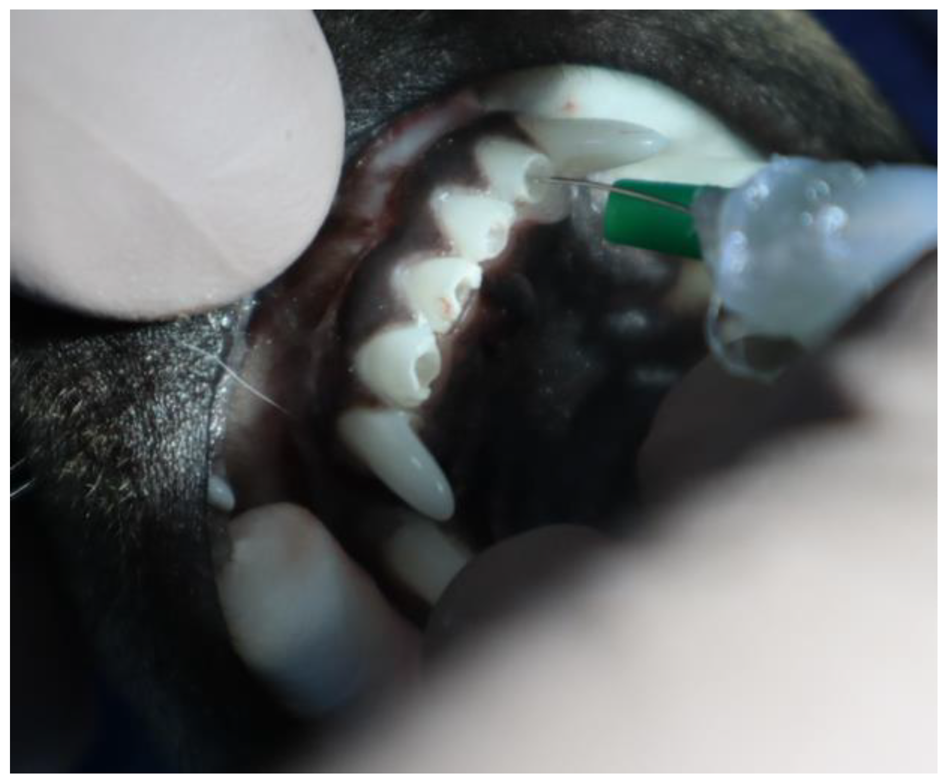 Applsci 13 08228 g001