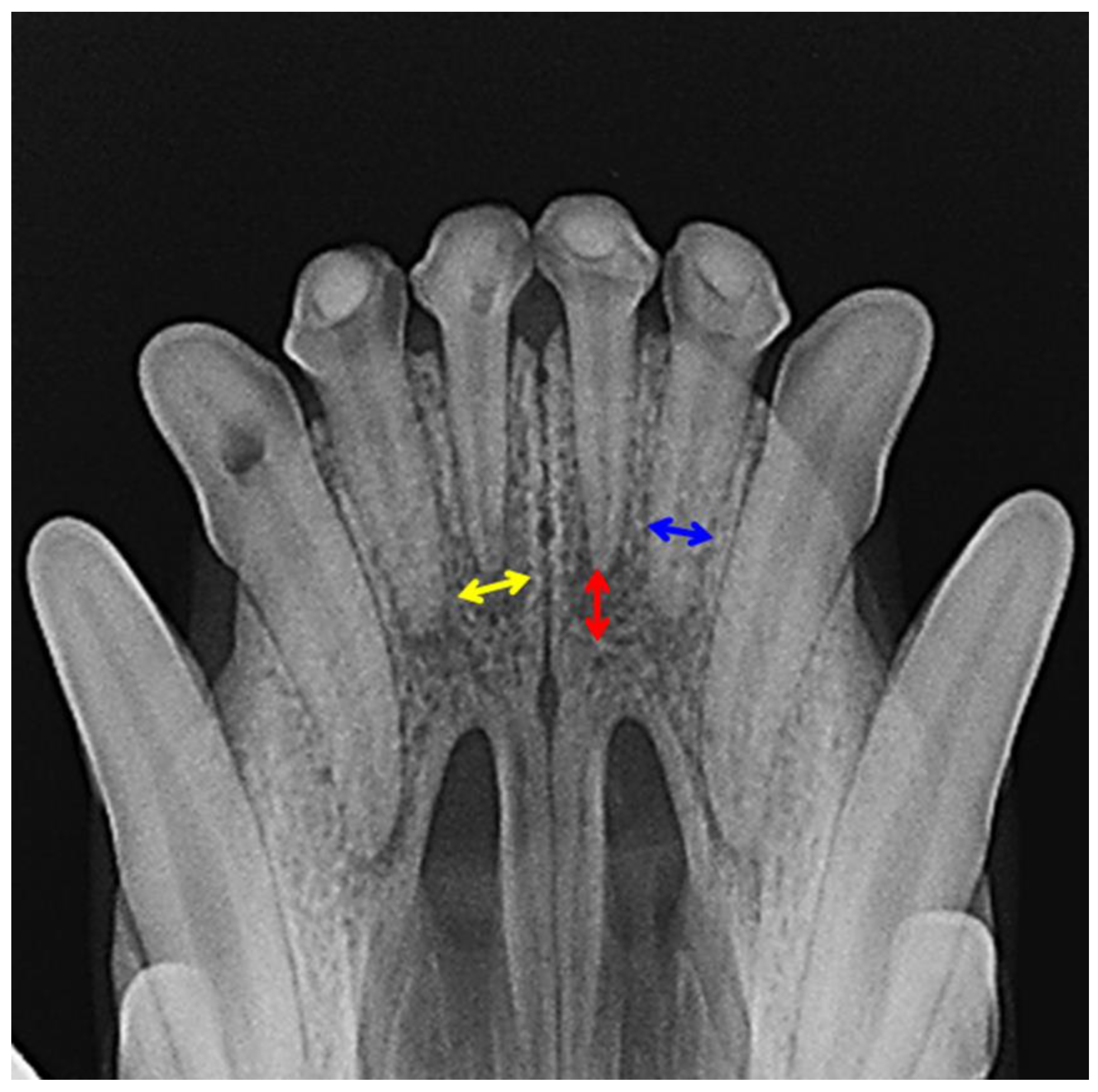 Applsci 13 08228 g002