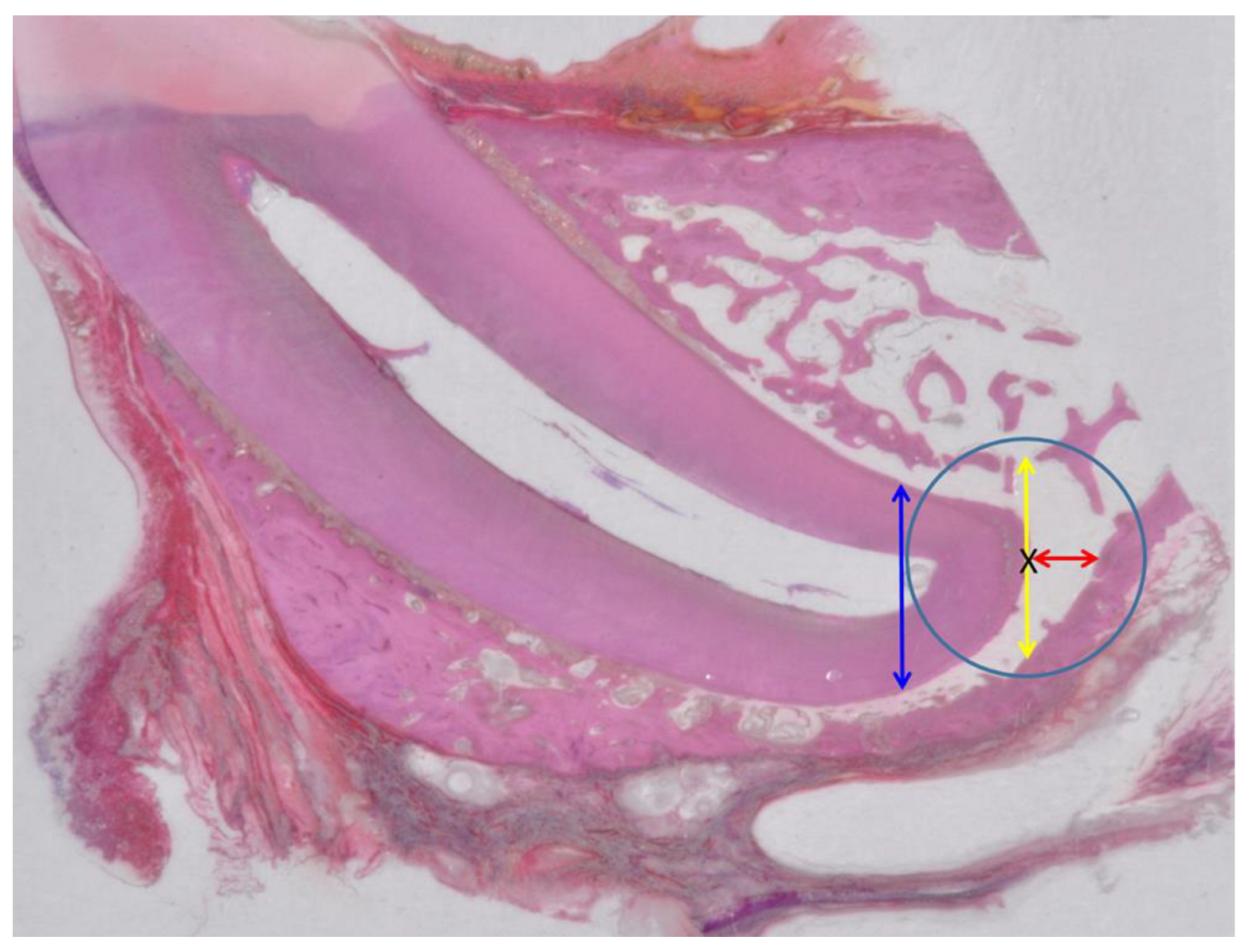 Applsci 13 08228 g003