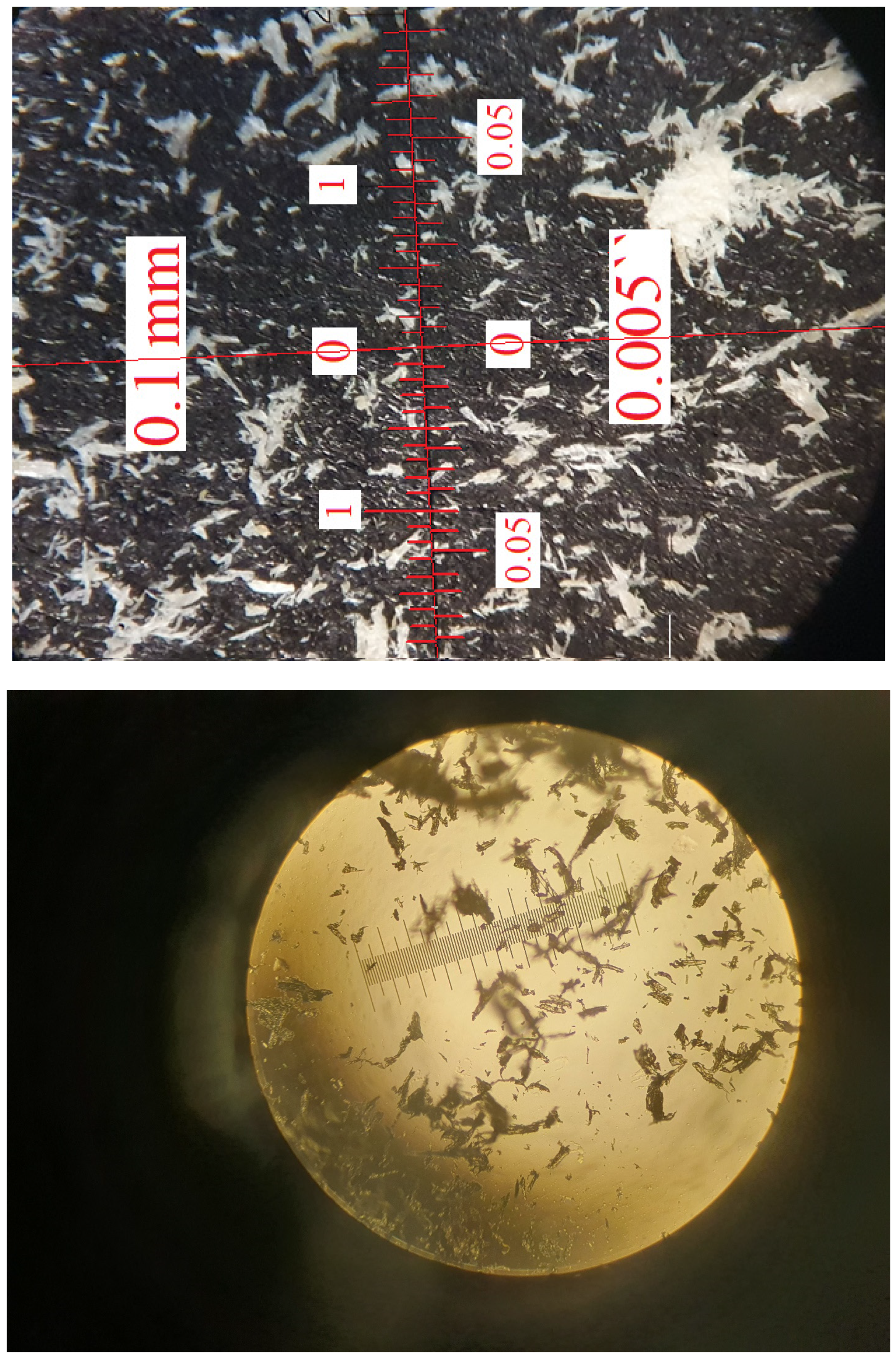 Applsci 13 08258 g001