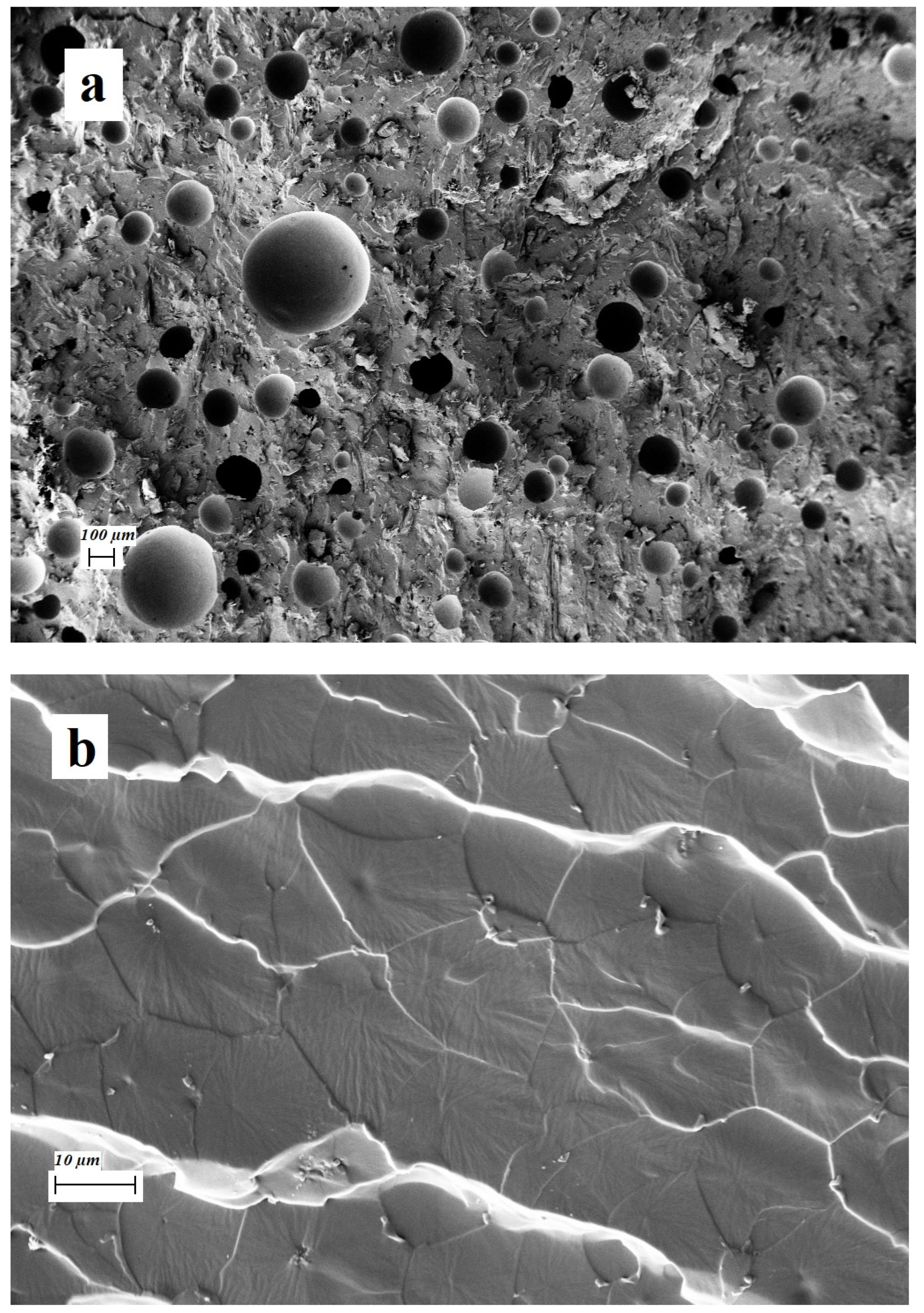 Applsci 13 08258 g007