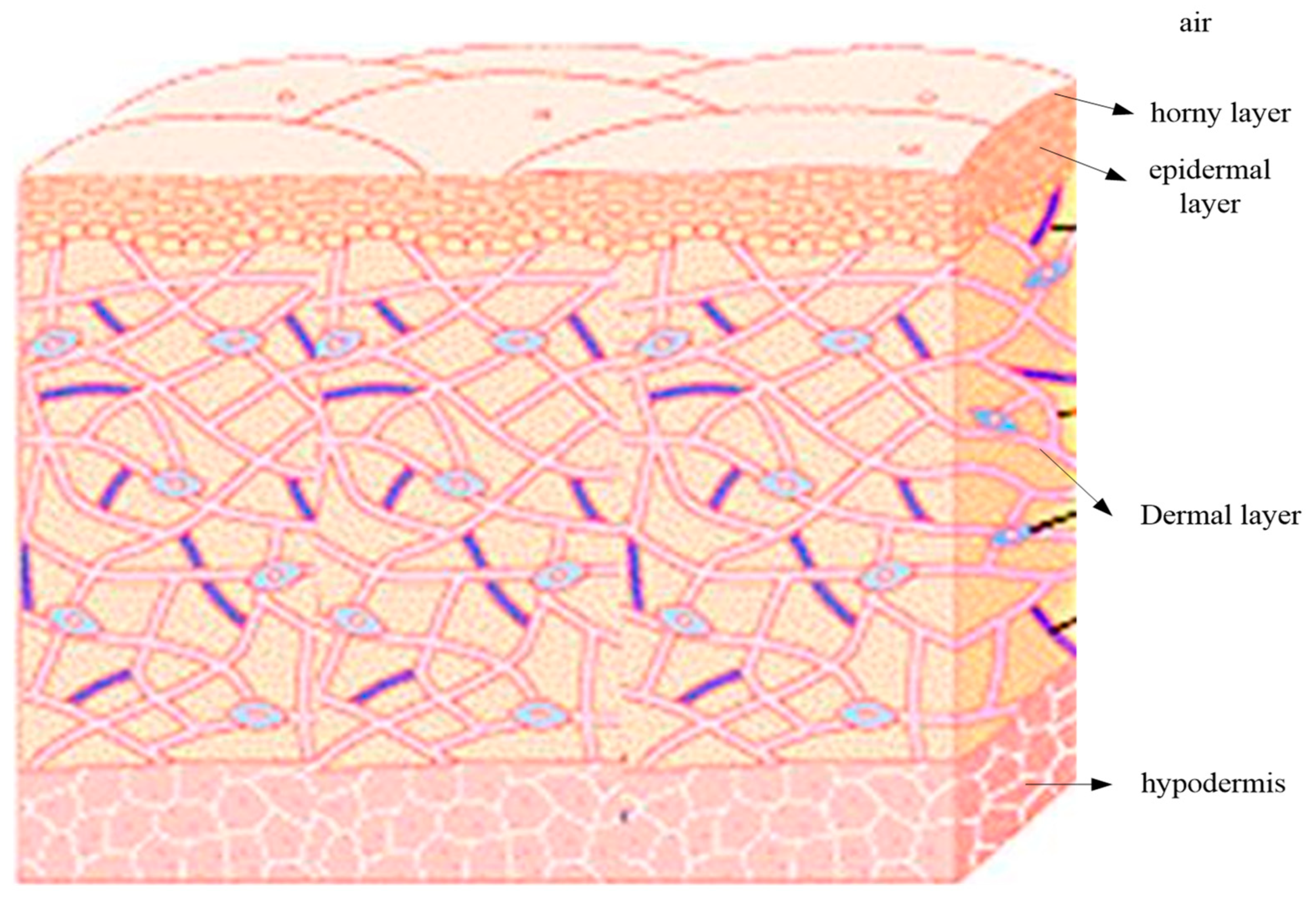 Applsci 13 08290 g005 Applsci 13 08290 g005