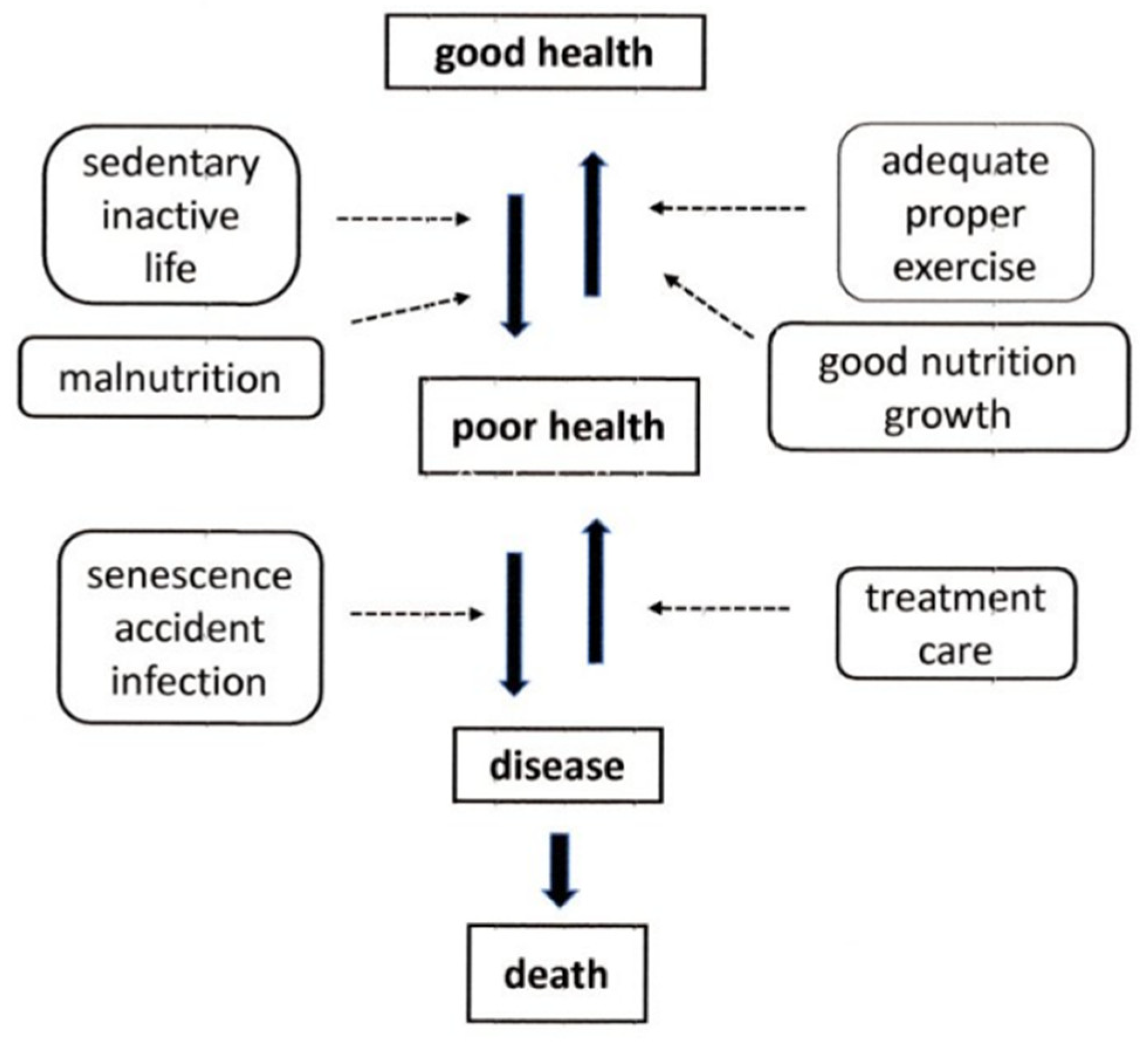 Applsci 13 08296 g006 550