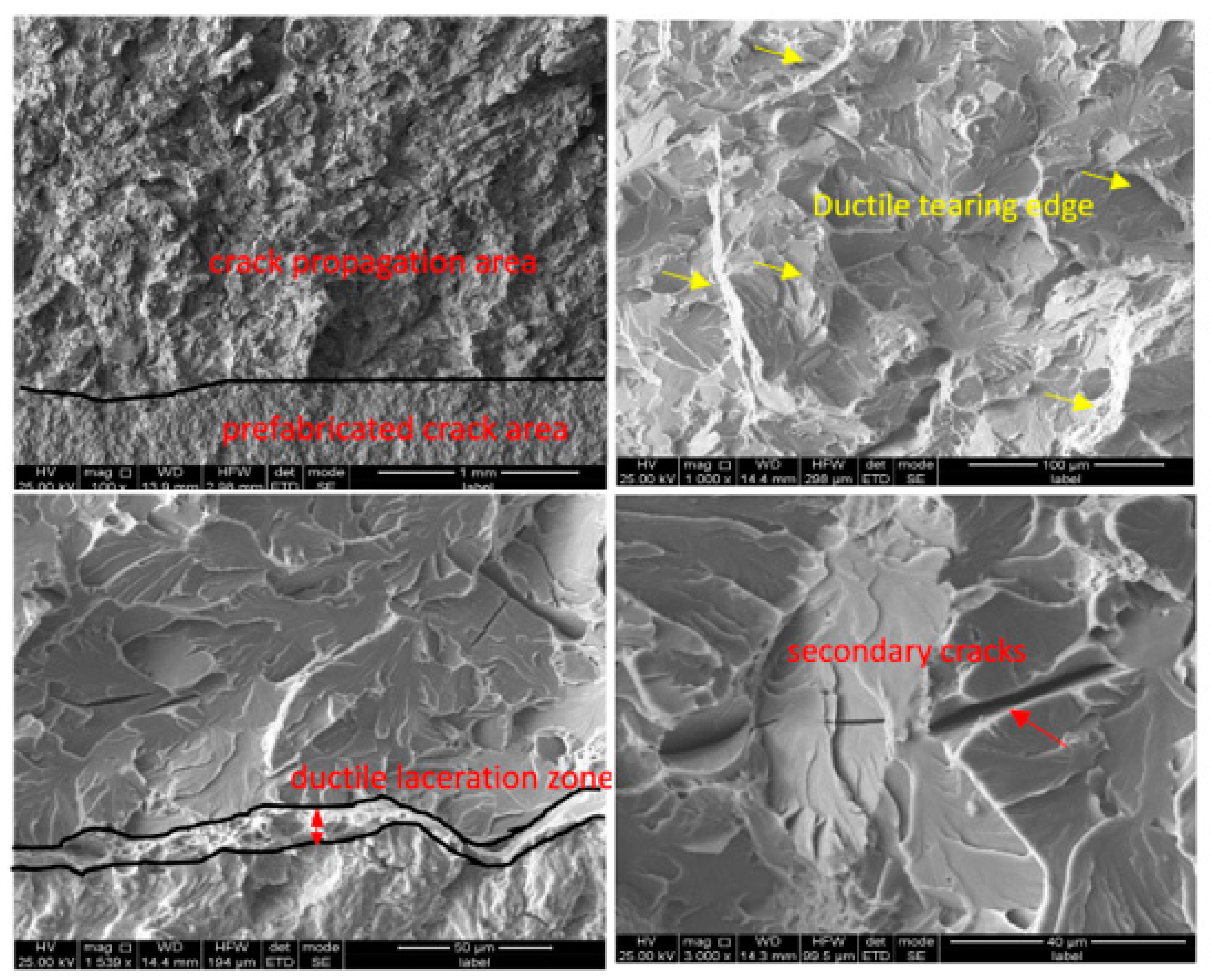 Applsci 13 08300 g004 Applsci 13 08300 g004