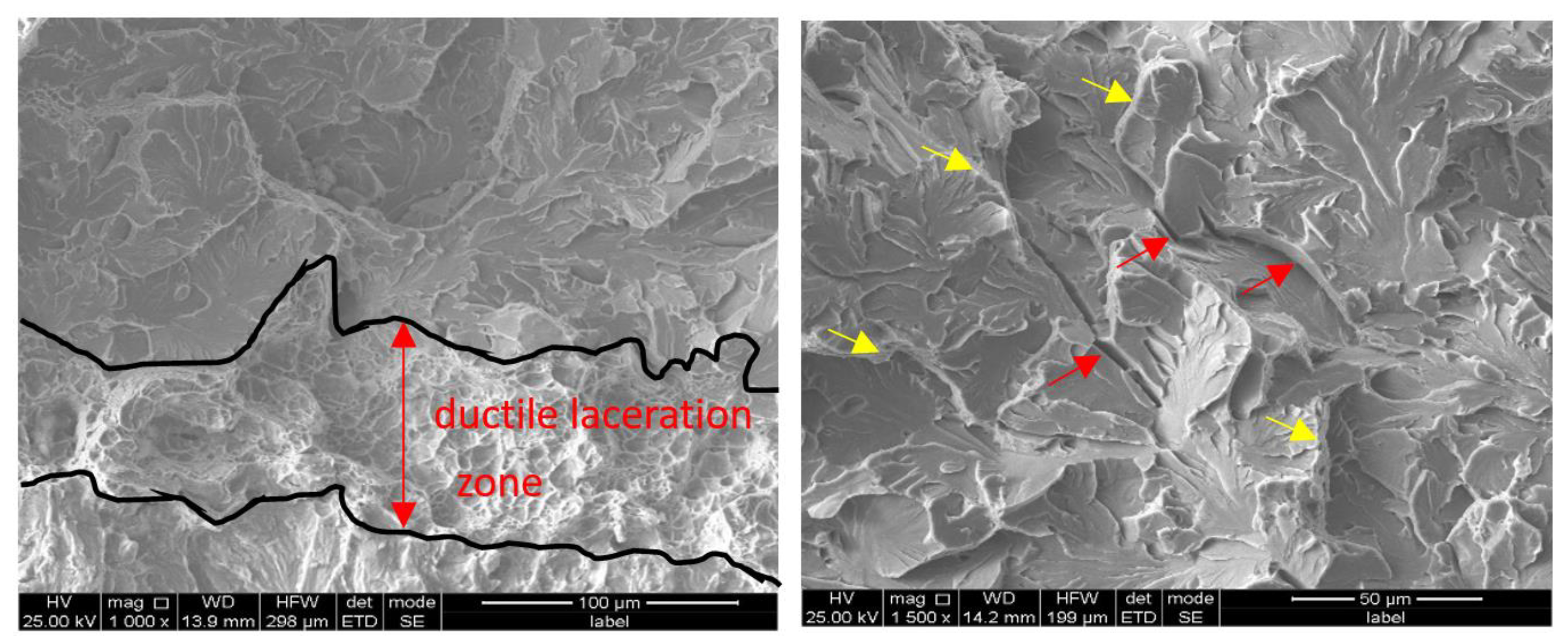 Applsci 13 08300 g005 Applsci 13 08300 g005