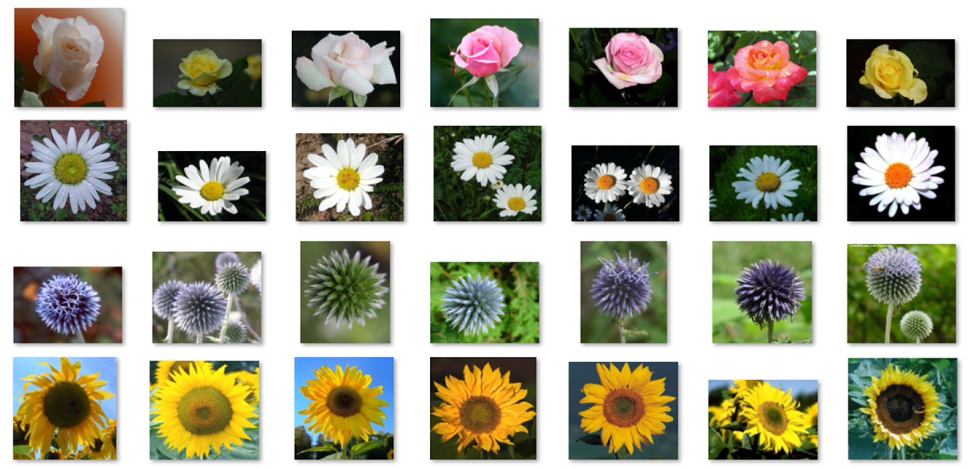 Applsci 13 08306 g010