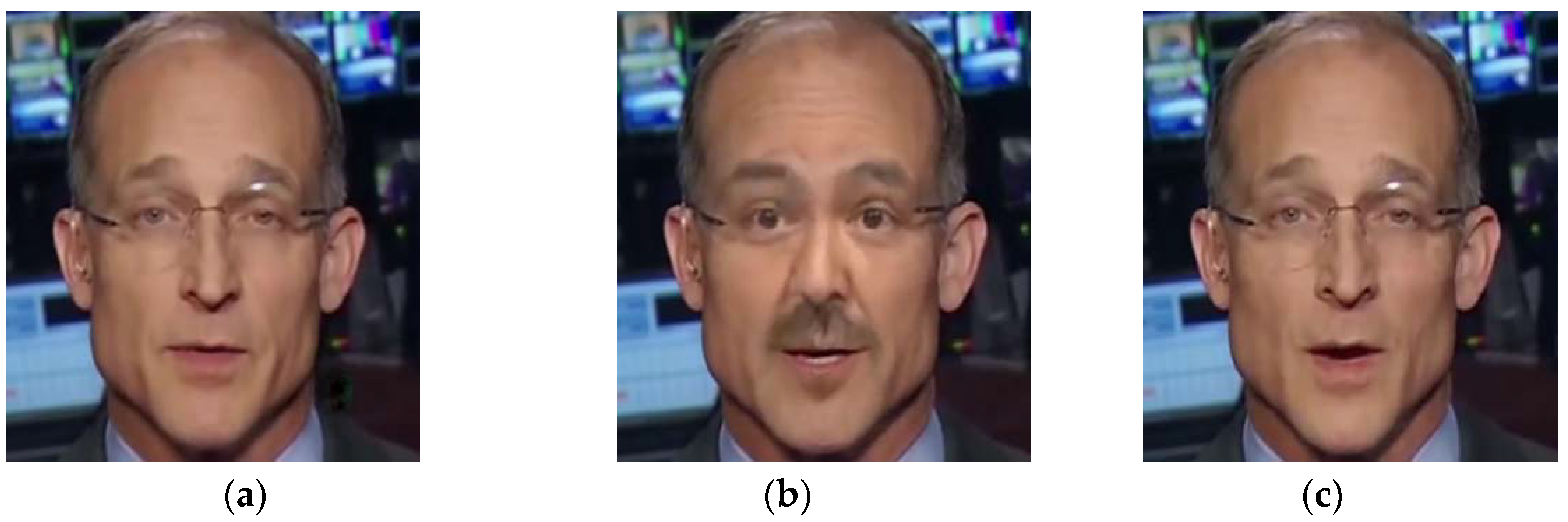 Deepfake Detection Algorithm Based on Dual-Branch Data Augmentation and ...