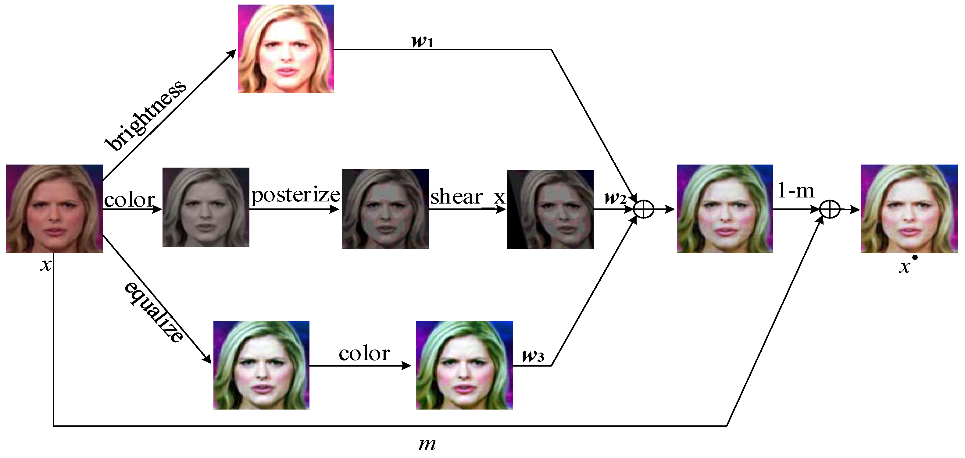 Deepfake Detection Algorithm Based on Dual-Branch Data Augmentation and ...