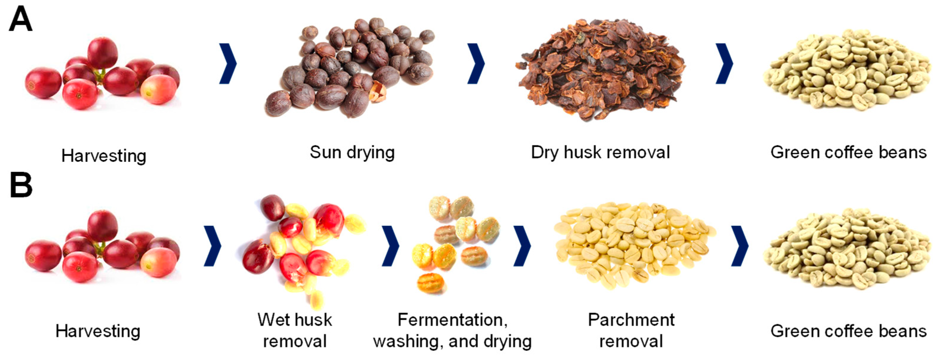 Applsci 13 08326 g002 Applsci 13 08326 g002