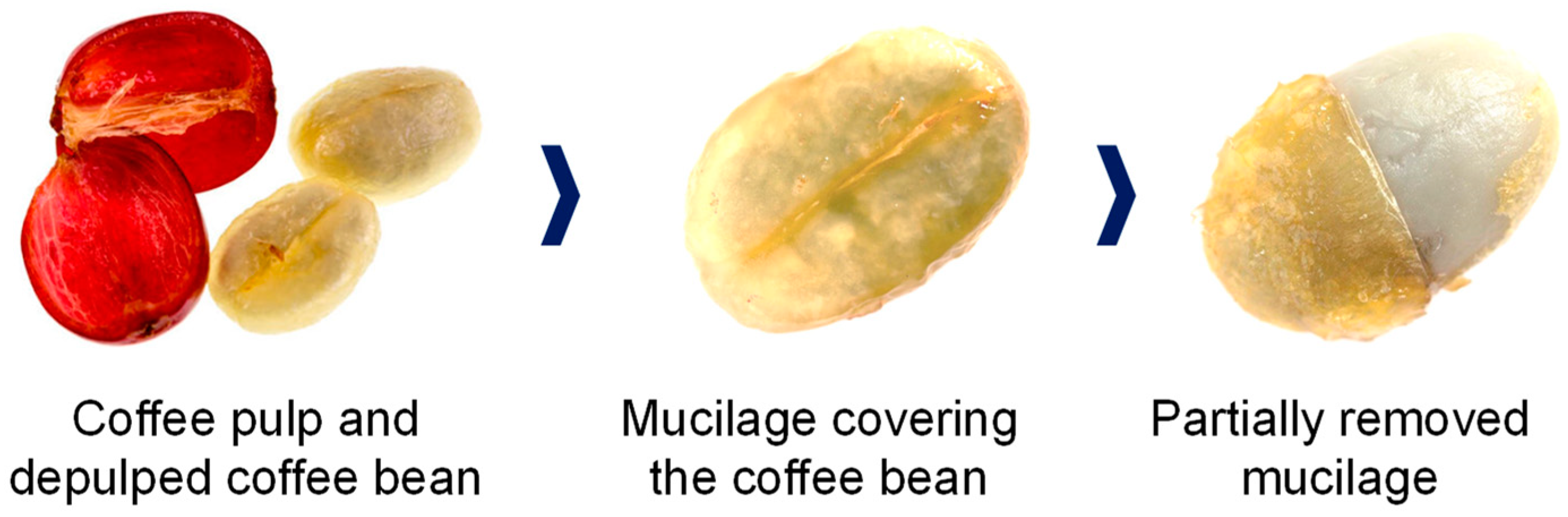 Applsci 13 08326 g004 Applsci 13 08326 g004