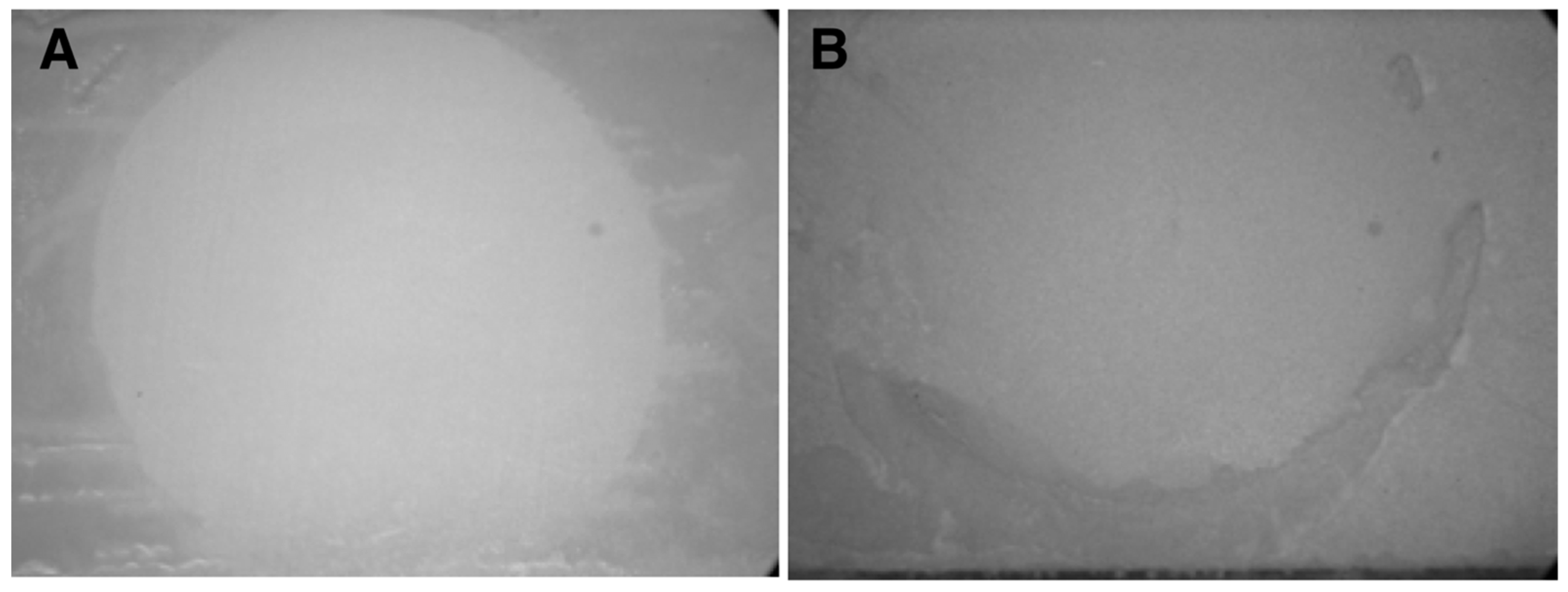 Applsci 13 08369 g003 Applsci 13 08369 g003