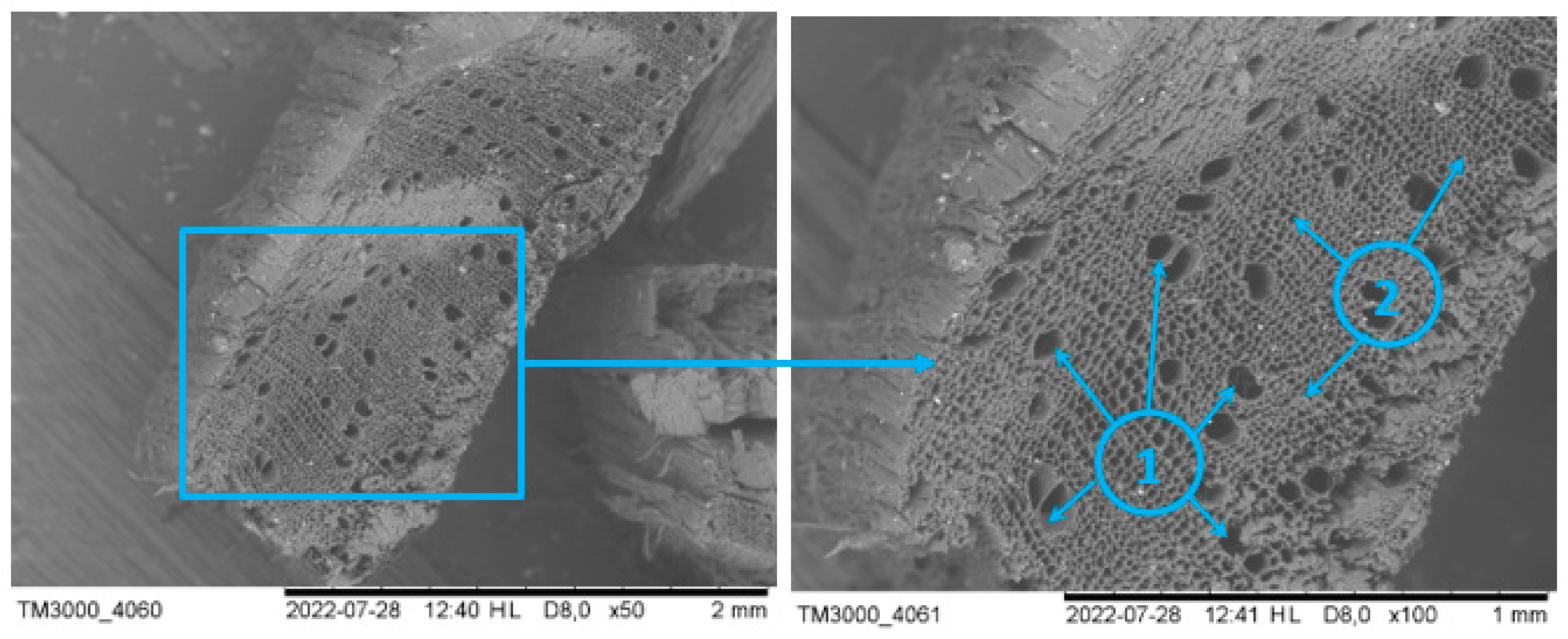 Applsci 13 08447 g002 Applsci 13 08447 g002