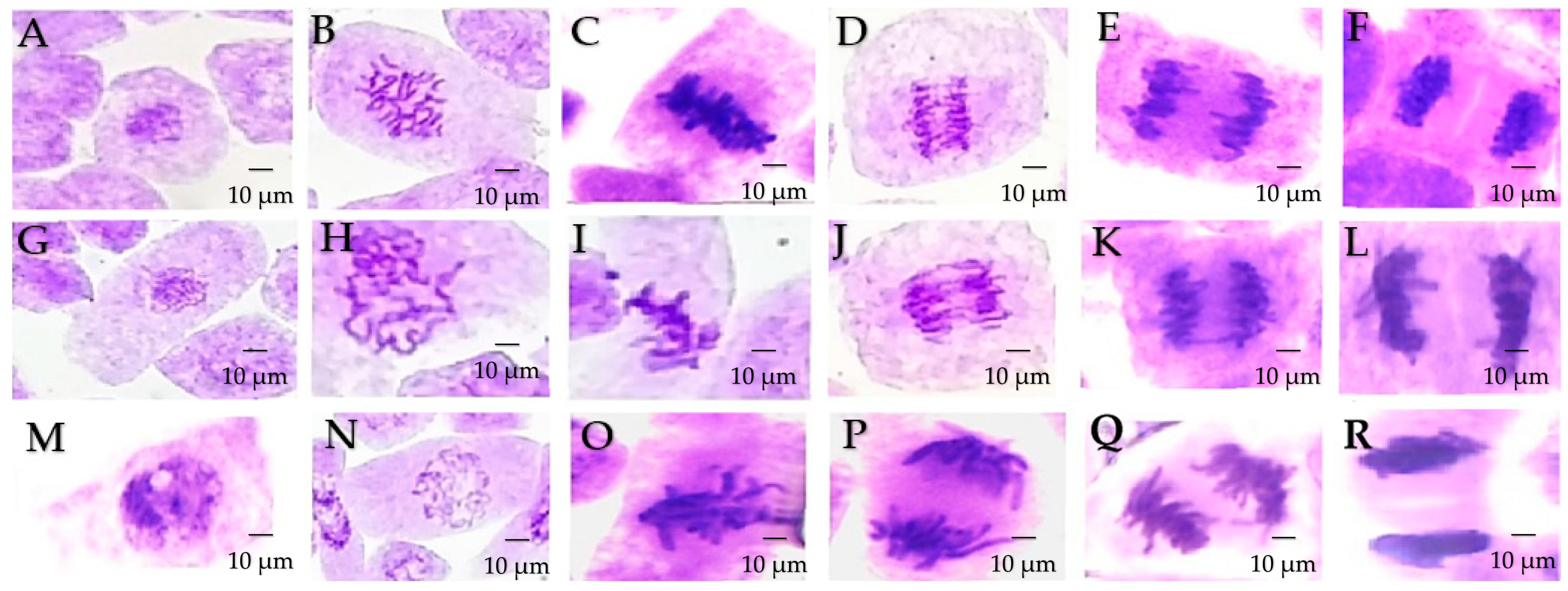 Applsci 13 08461 g001 Applsci 13 08461 g001