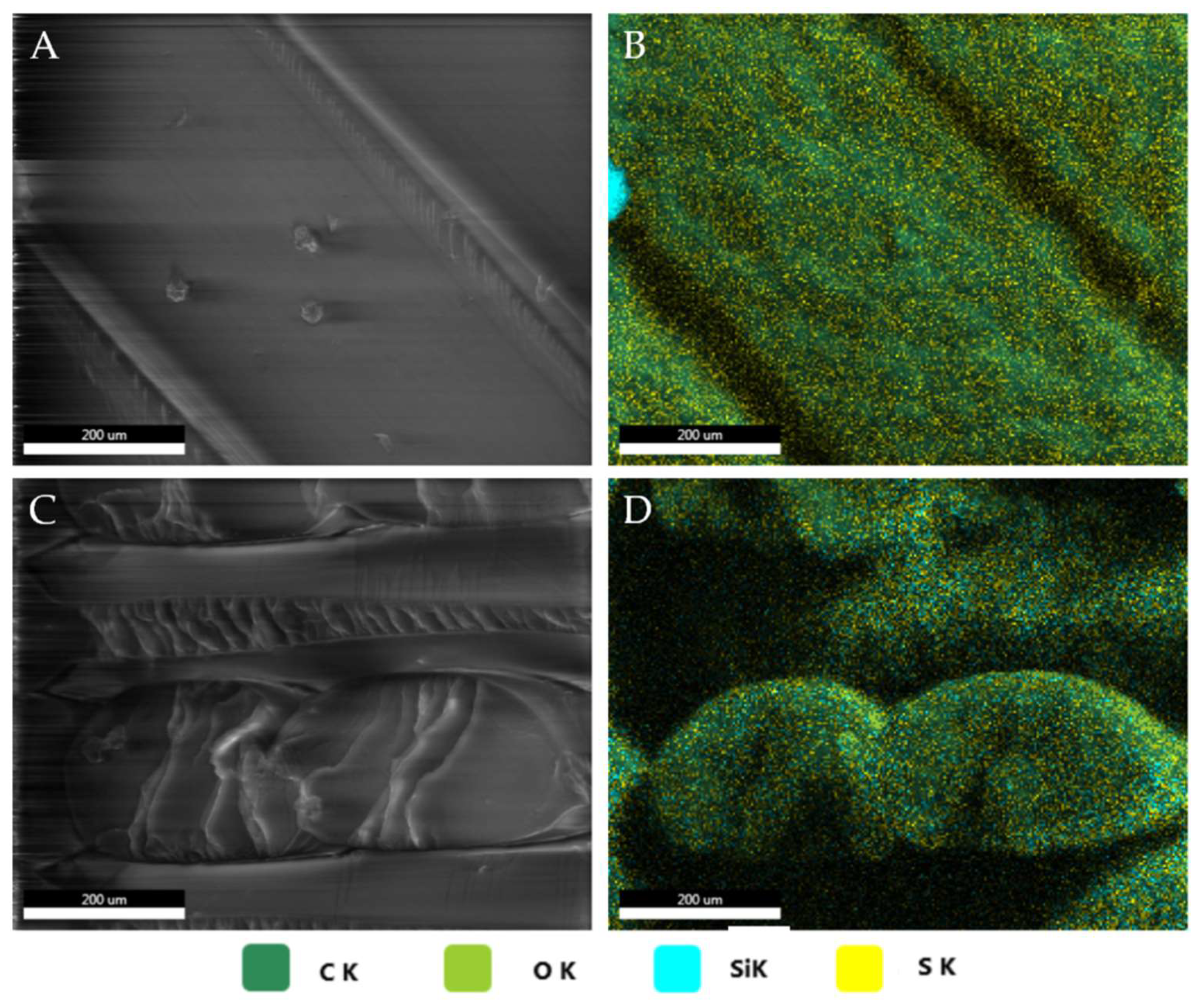 Applsci 13 08462 g004 Applsci 13 08462 g004