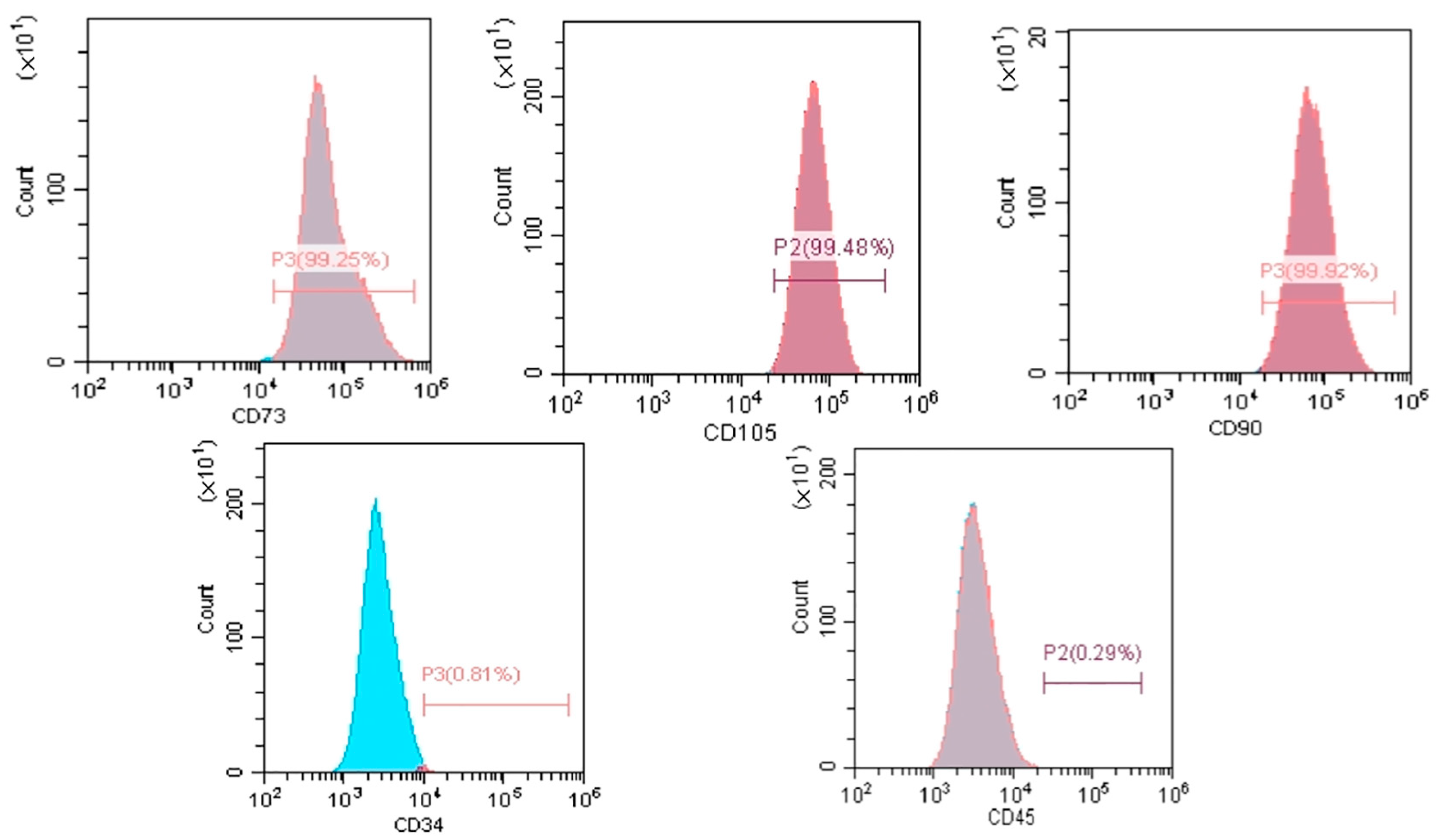 Applsci 13 08490 g001