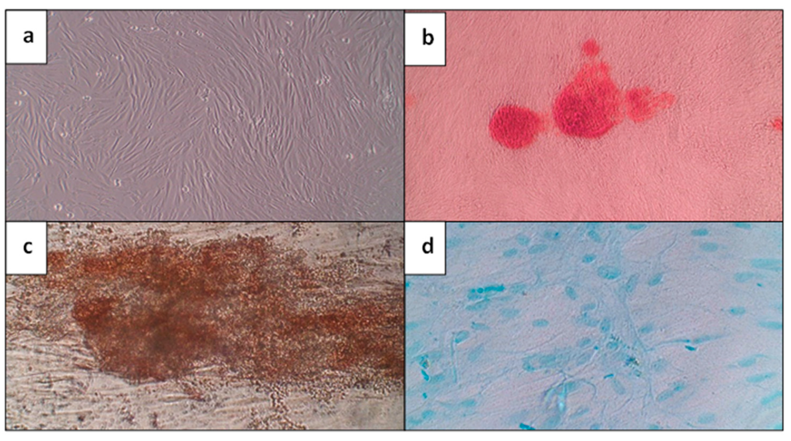 Applsci 13 08490 g002