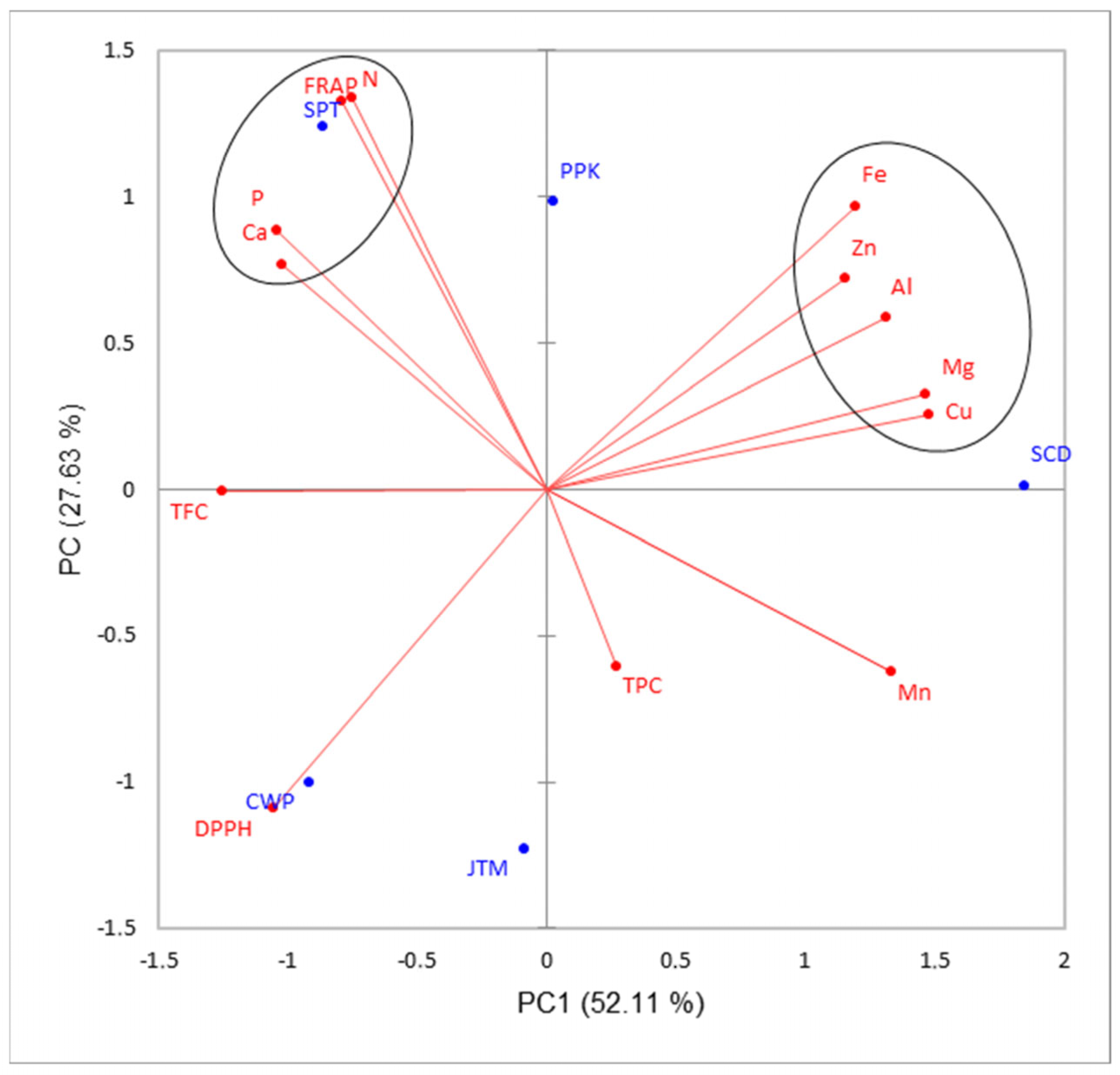 Applsci 13 08503 g001