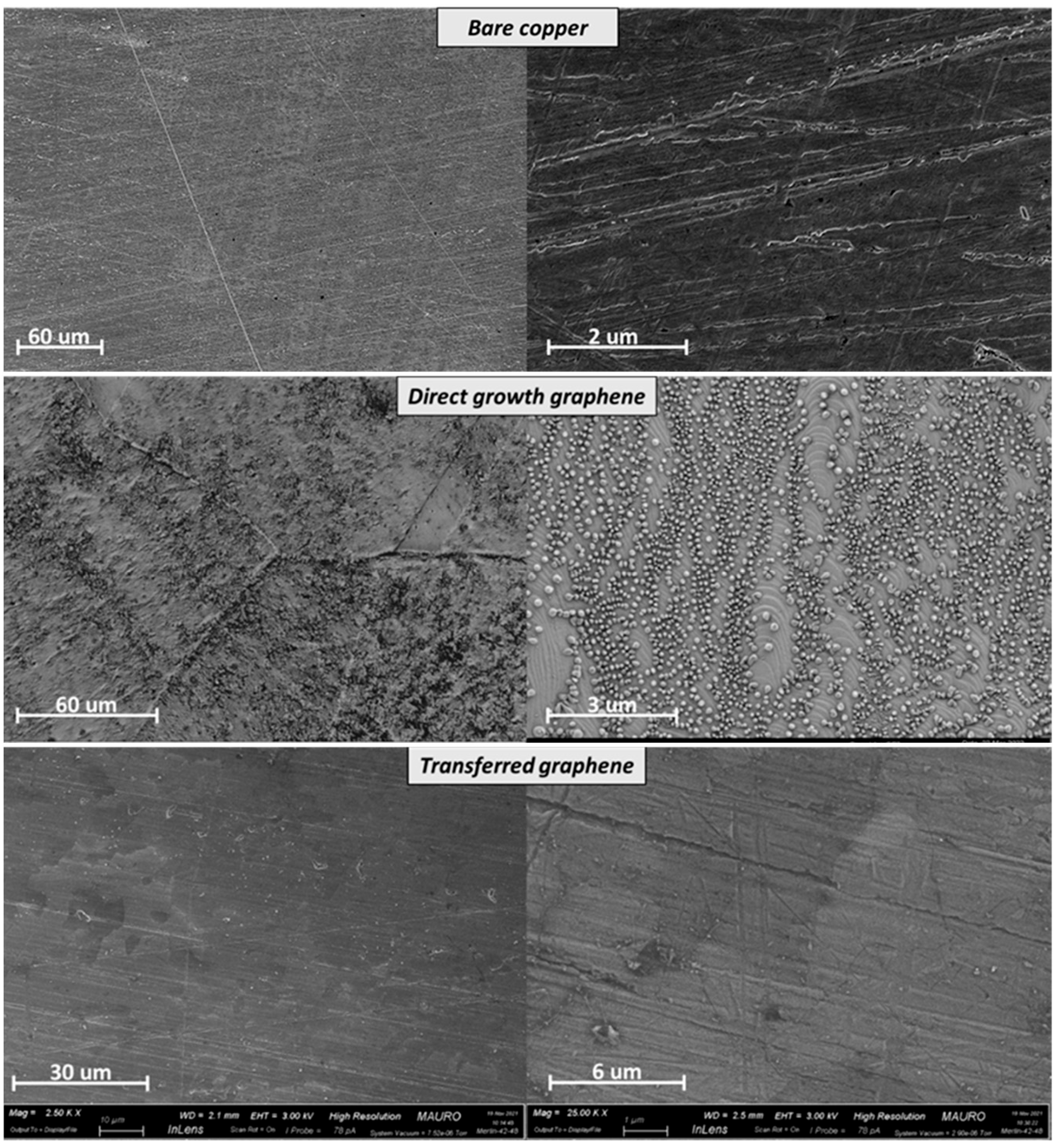 Applsci 13 08540 g002