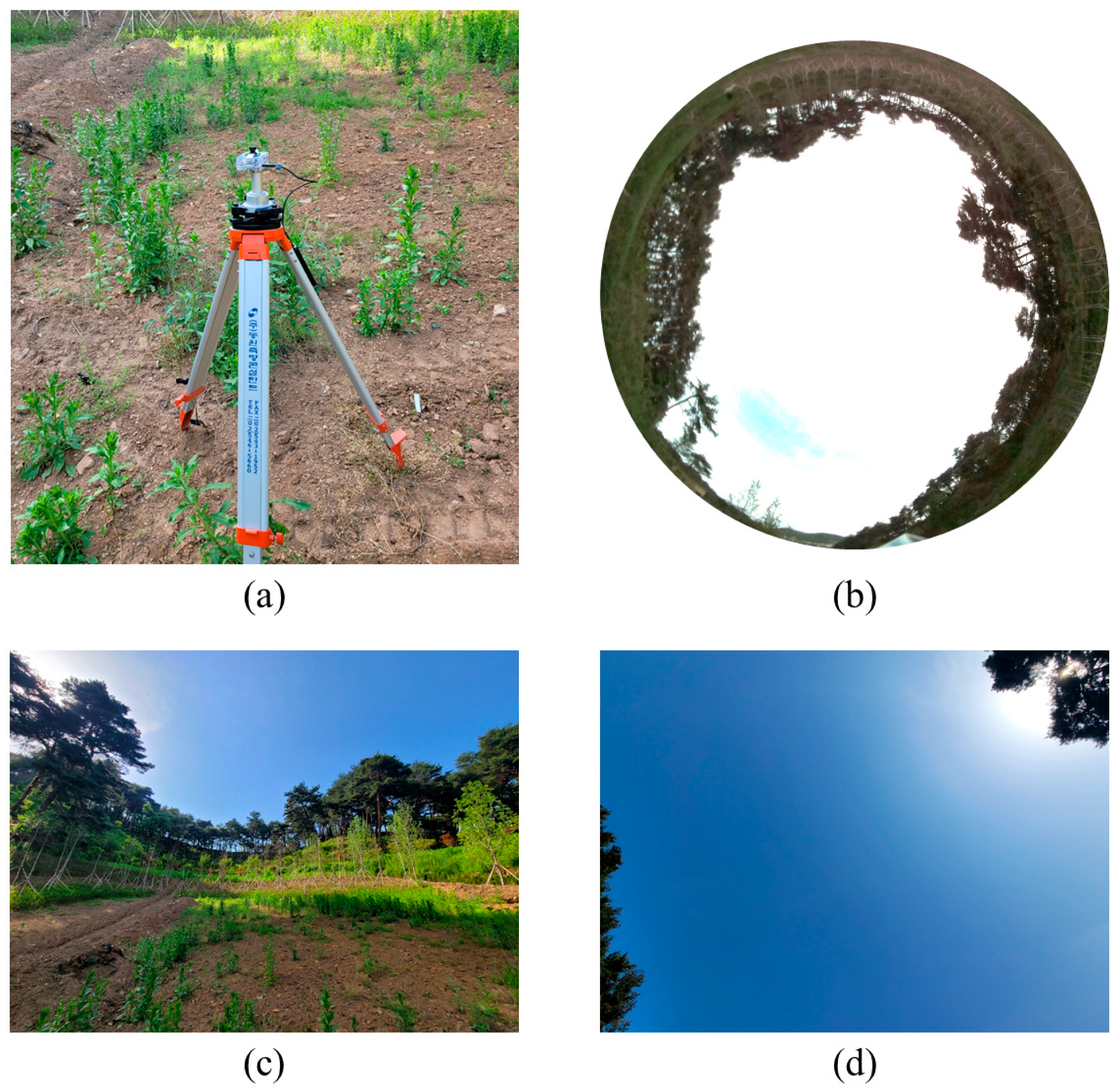 Applsci 13 08568 g007 550