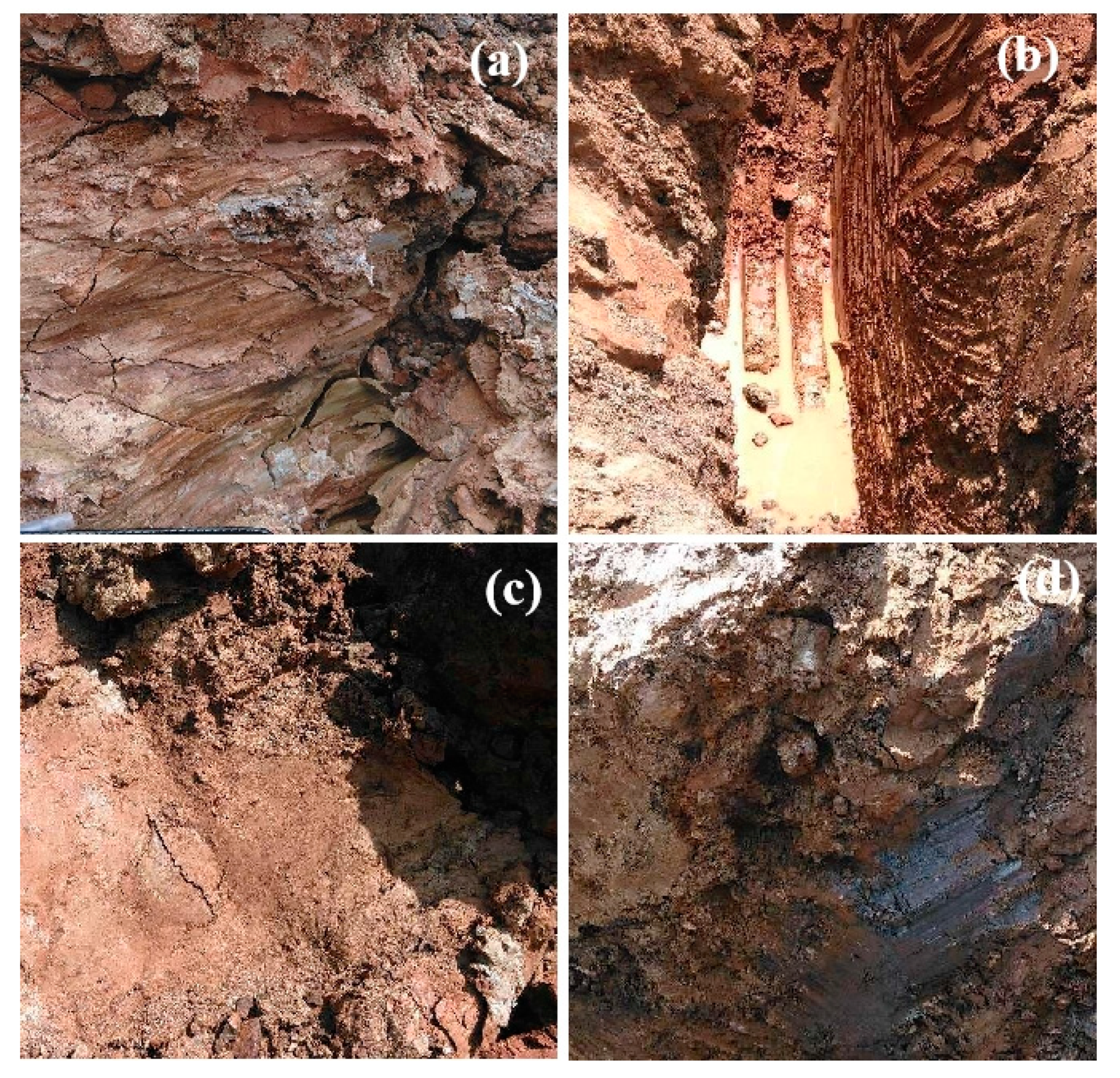 Applsci 13 08579 g003 Applsci 13 08579 g003