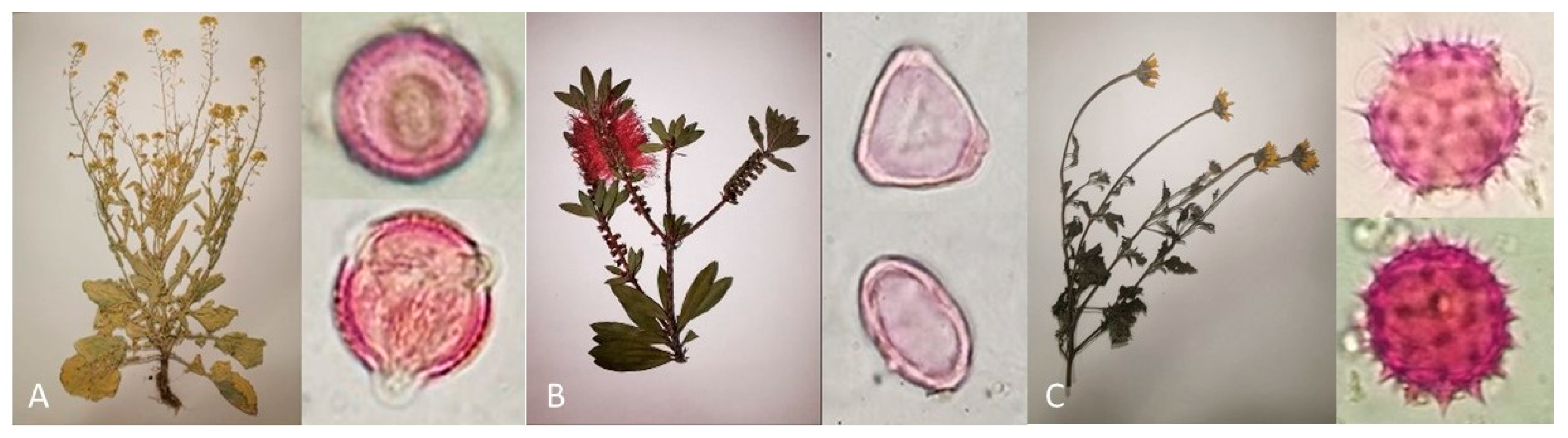 Applsci 13 08591 g001