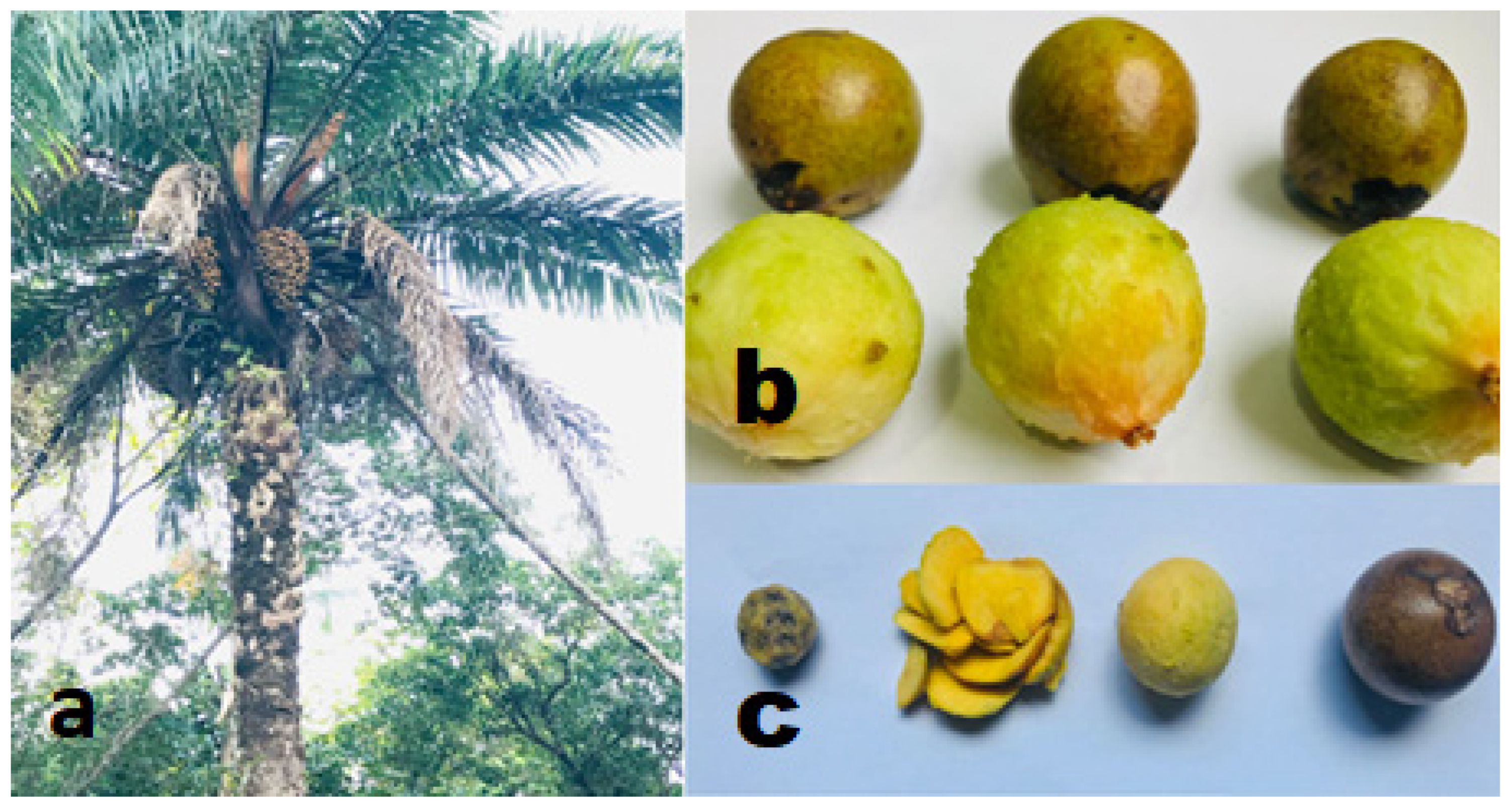 Applsci 13 08594 g001