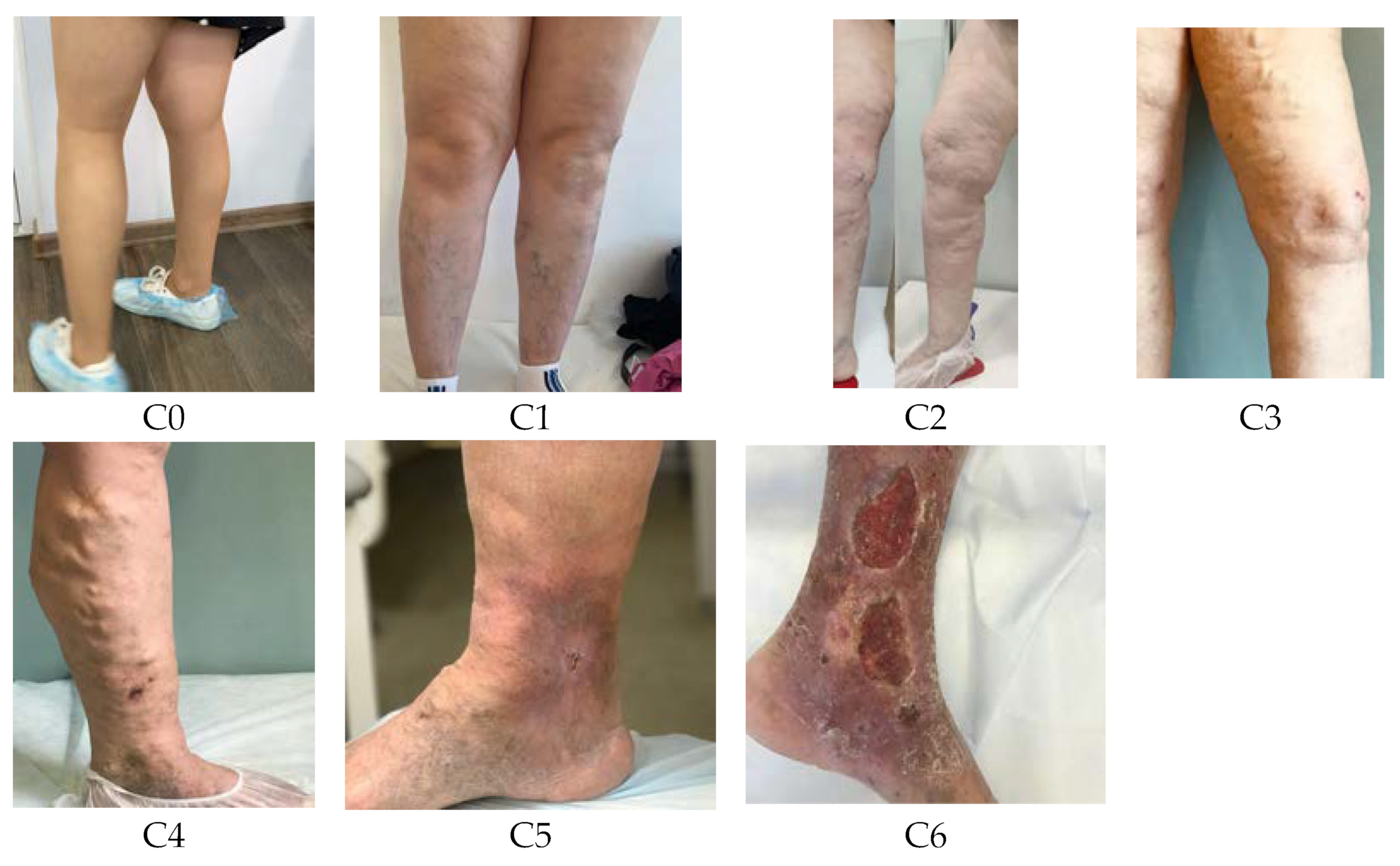 Applsci 13 08614 g001