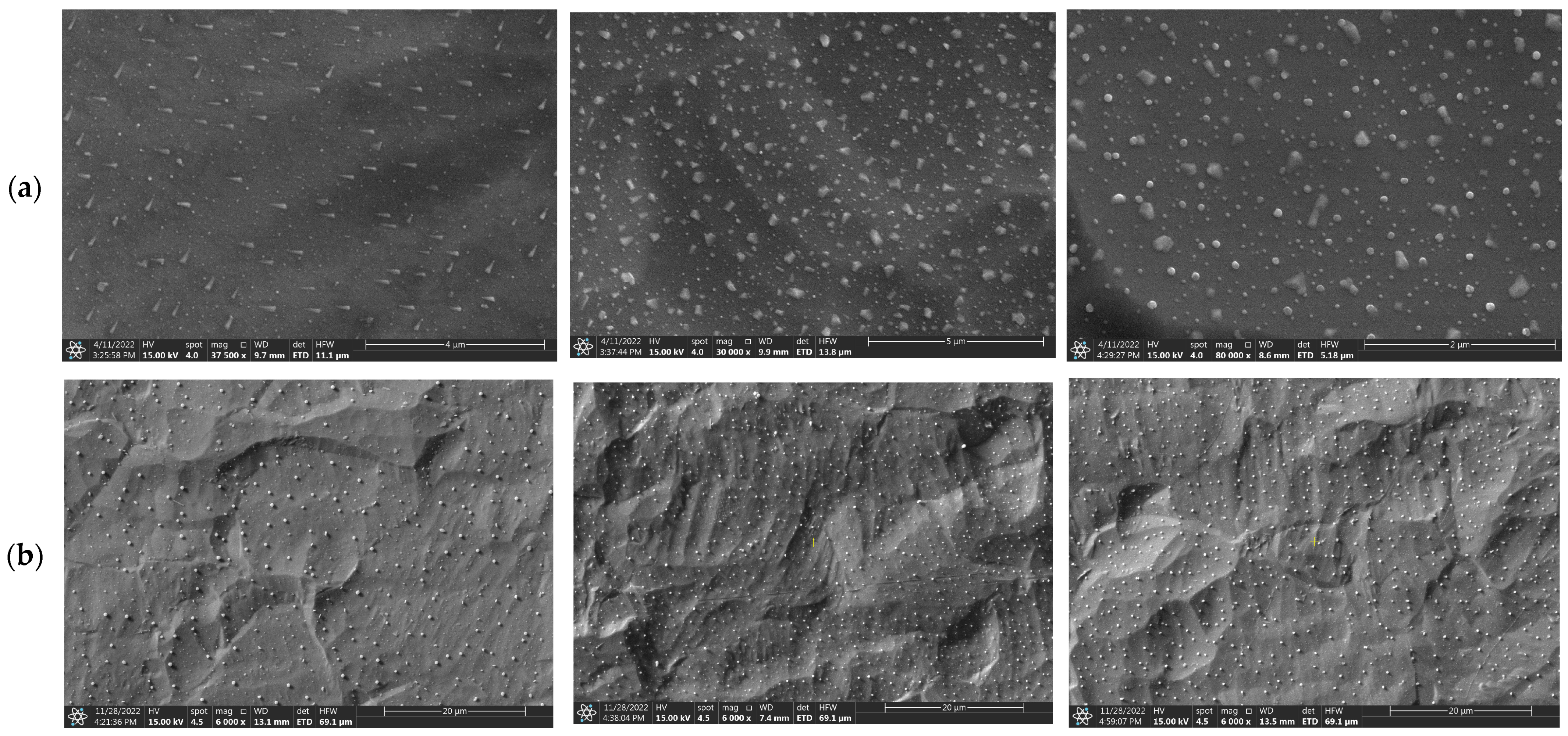 Applsci 13 08618 g007 Applsci 13 08618 g007