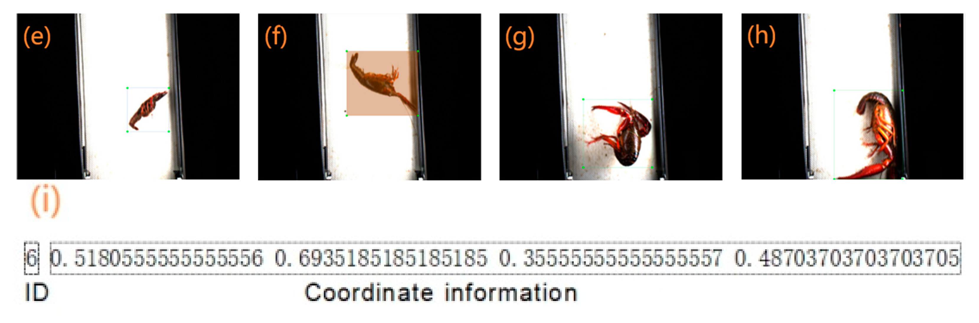 Applsci 13 08619 g002b 550