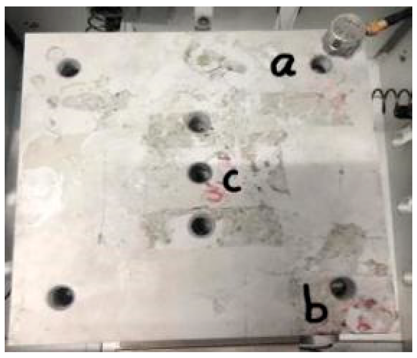 Applsci 13 08632 g011 550