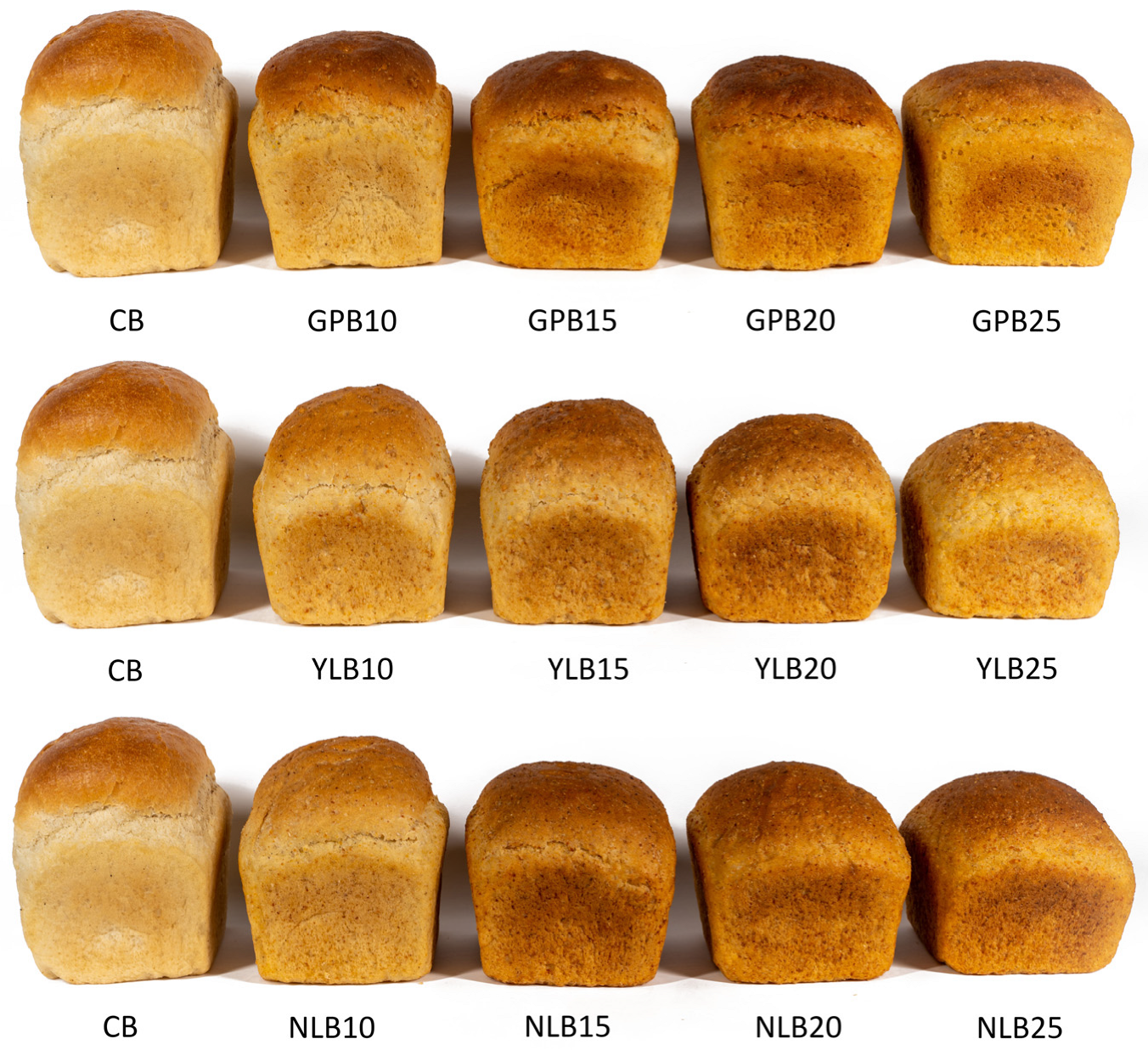 Applsci 13 08664 g001 Applsci 13 08664 g001