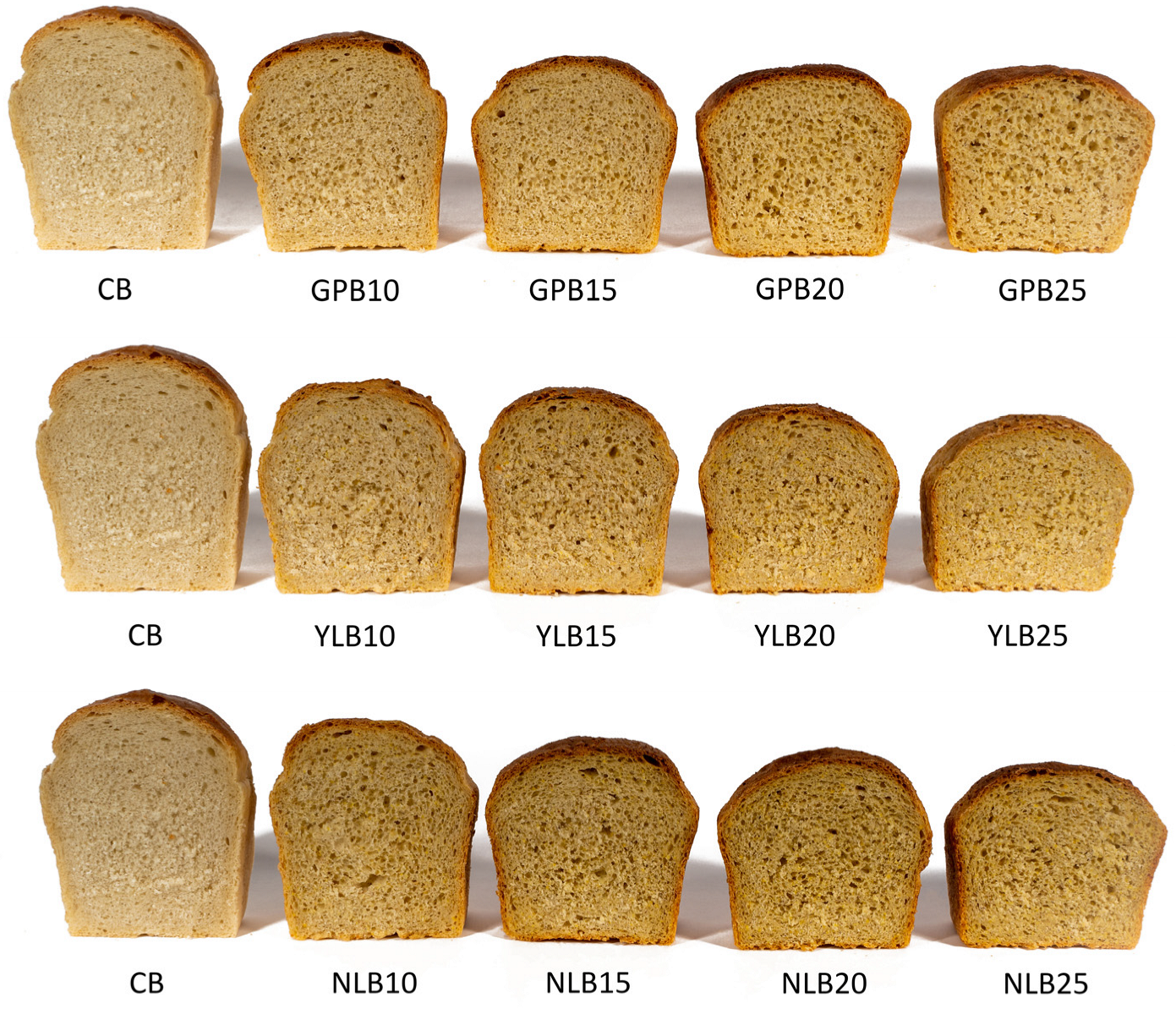 Applsci 13 08664 g002 Applsci 13 08664 g002