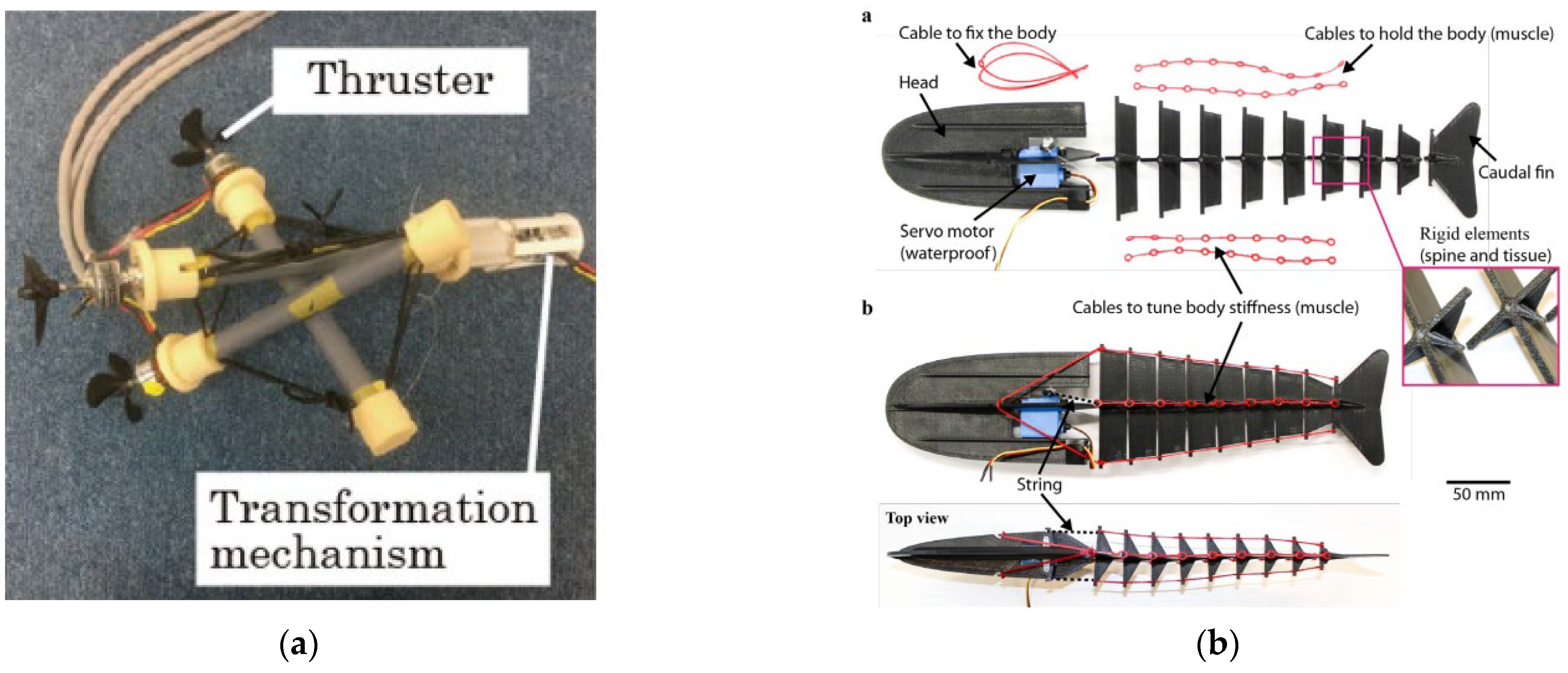 Applsci 13 08669 g032