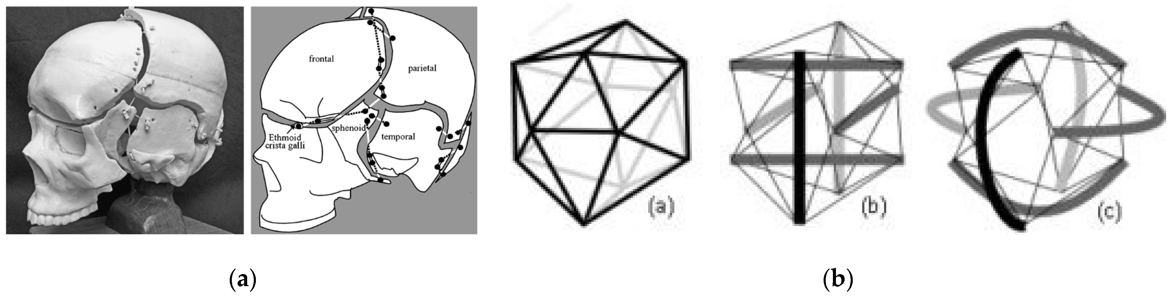 Applsci 13 08669 g037