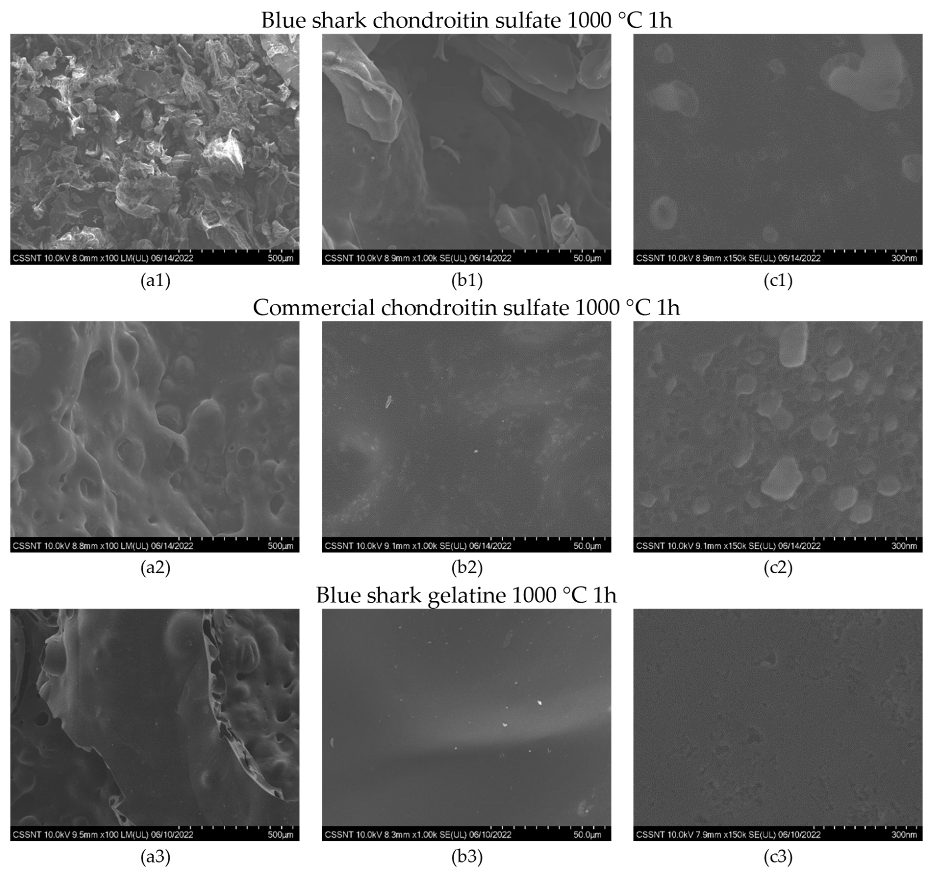 Applsci 13 08676 g002 Applsci 13 08676 g002