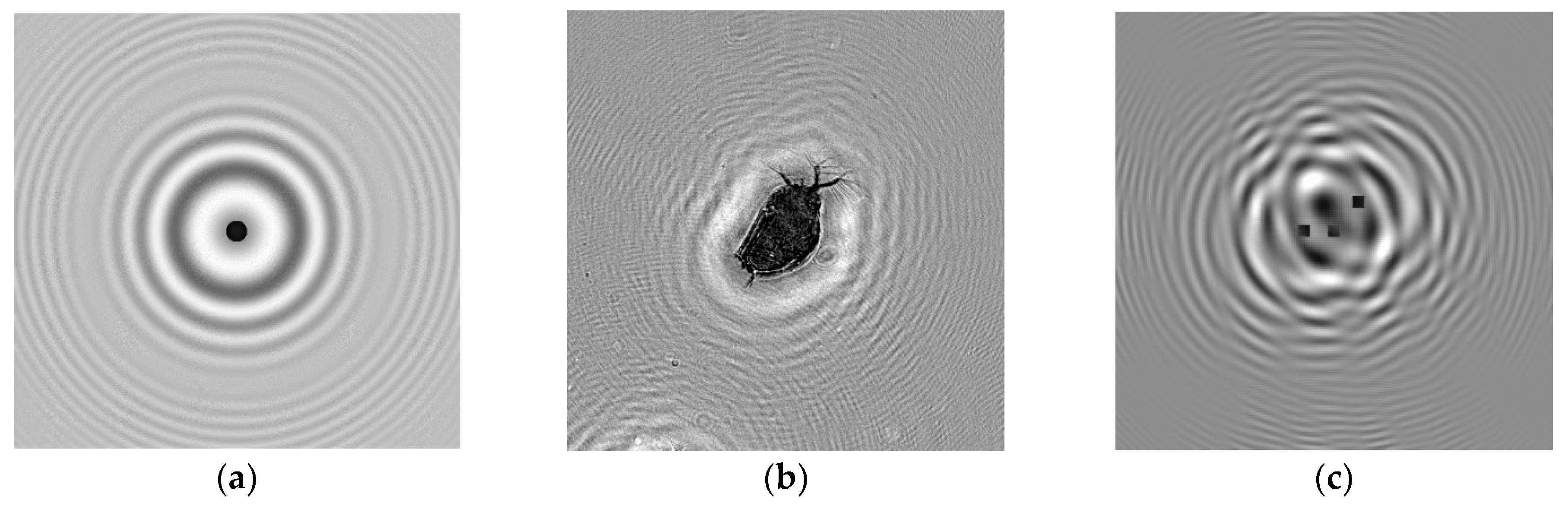 Applsci 13 08685 g004