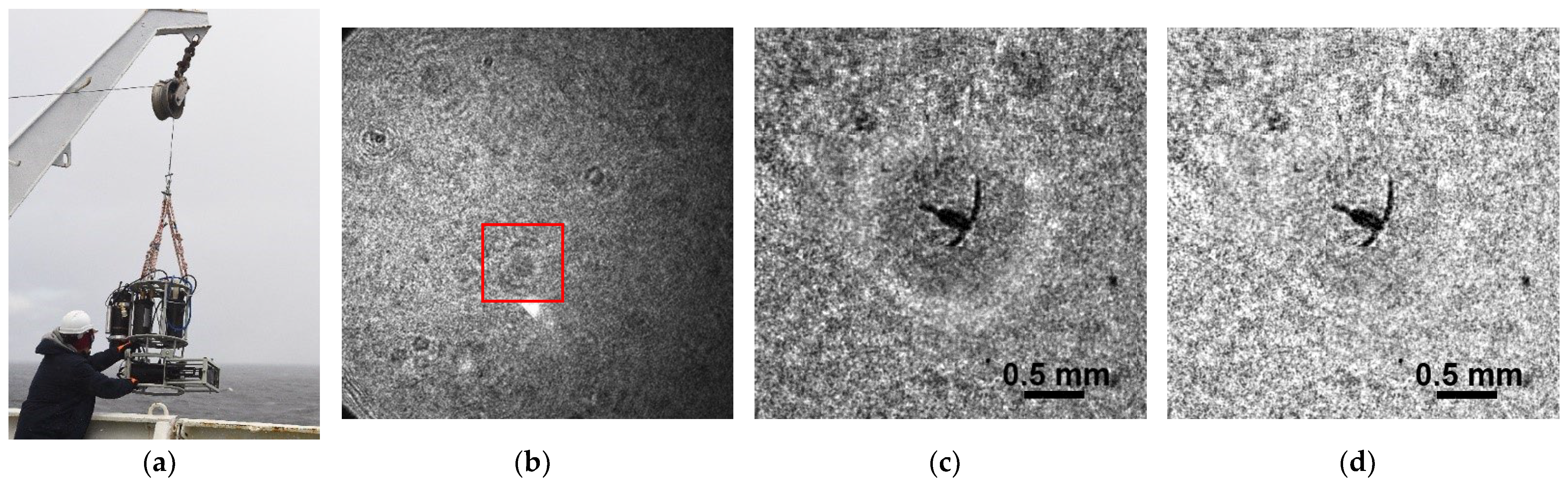 Applsci 13 08685 g013